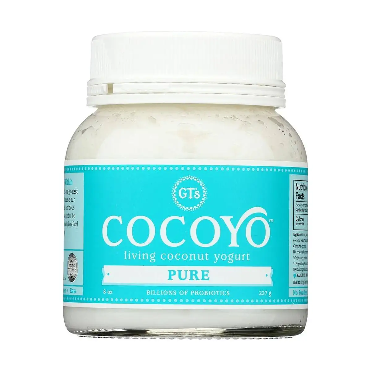 cocoyo?width=1024&height=1024&fit=cover&auto=webp&dpr=4