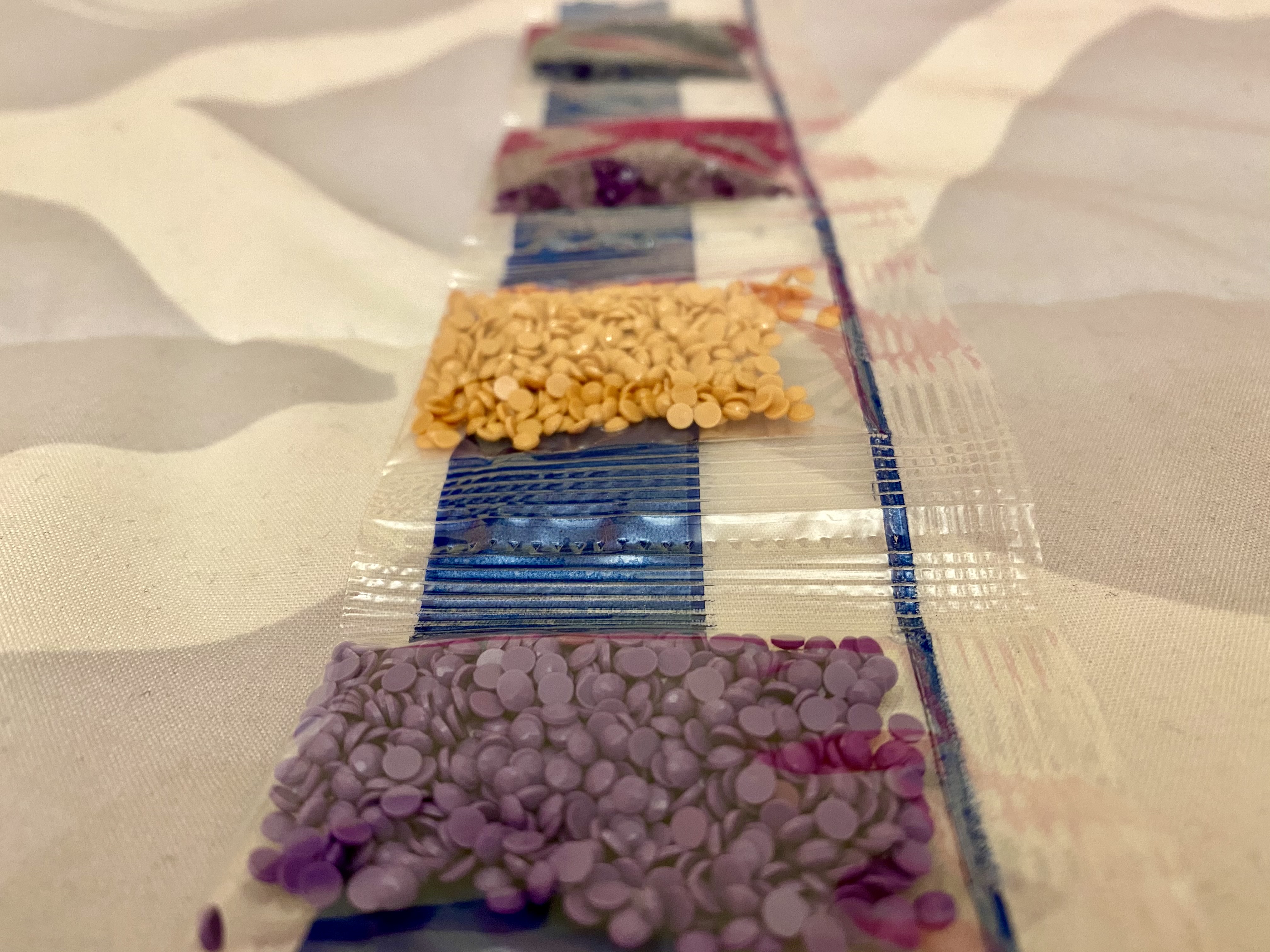 img2356 1jpg by Camryn Chernick