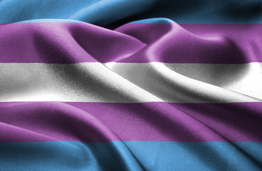 transgender flagjpg by Lena Balk?width=698&height=466&fit=crop&auto=webp&dpr=4