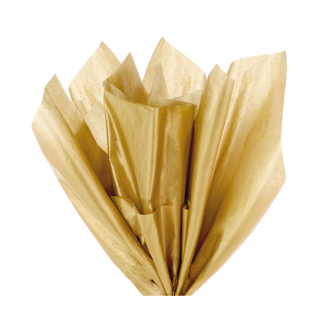 14?width=1024&height=1024&fit=cover&auto=webp&dpr=4