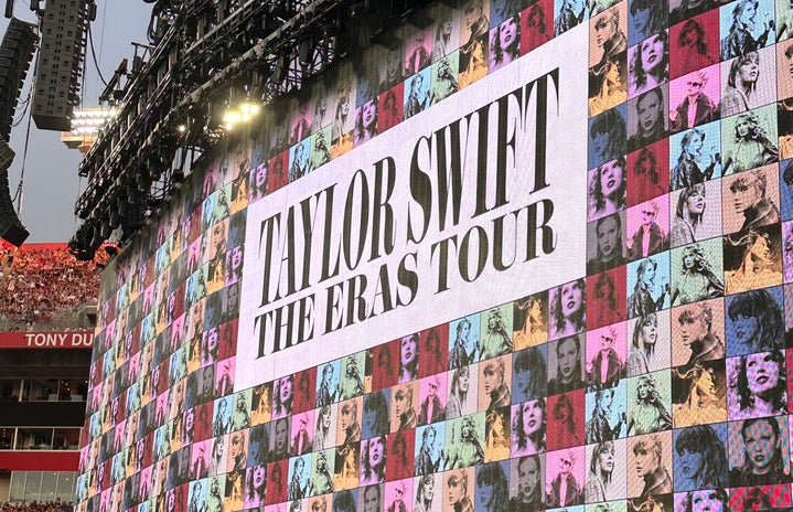 Taylor Swift Concert Photo 2