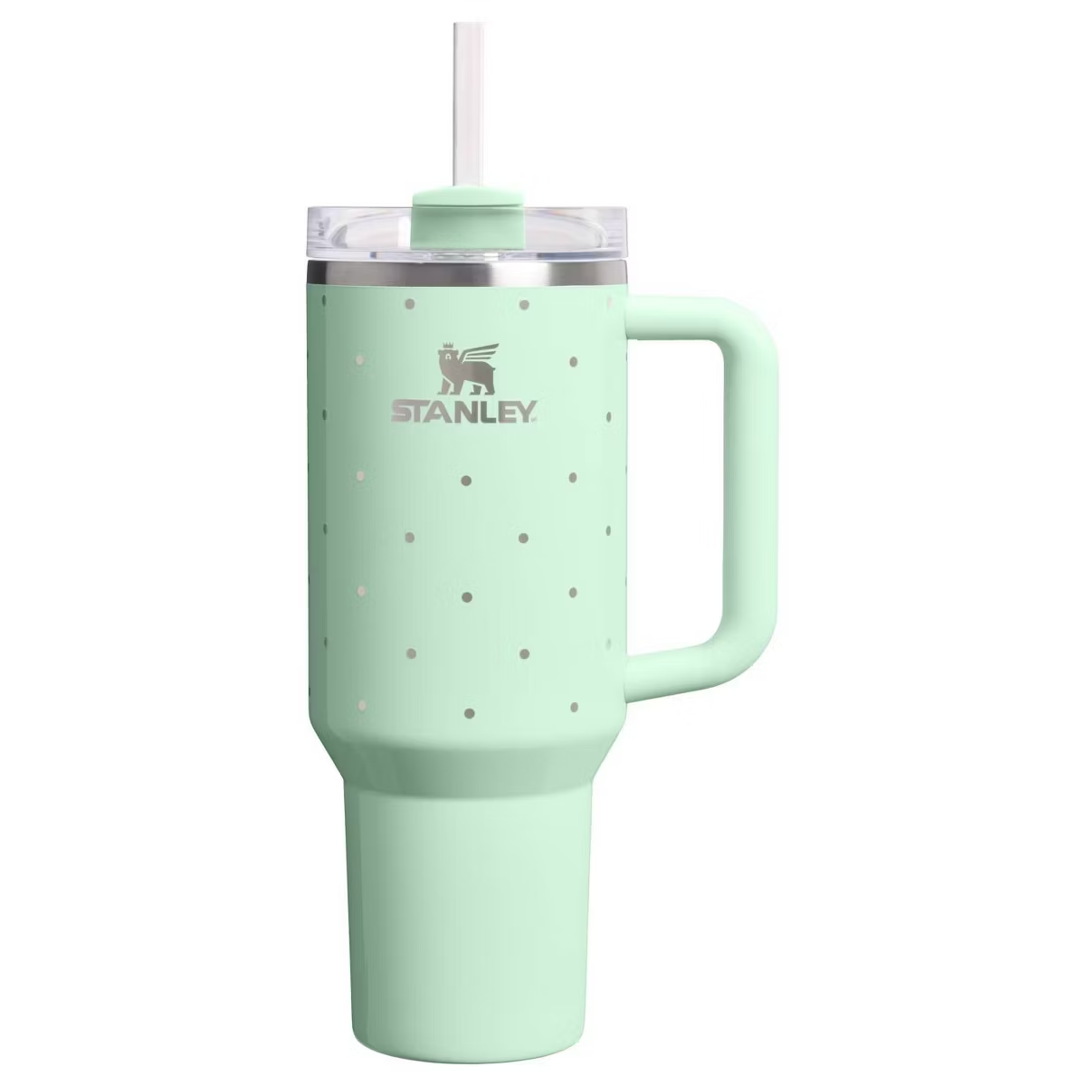stanley 40 oz quencher 2010s mint green base with silver dotted spots