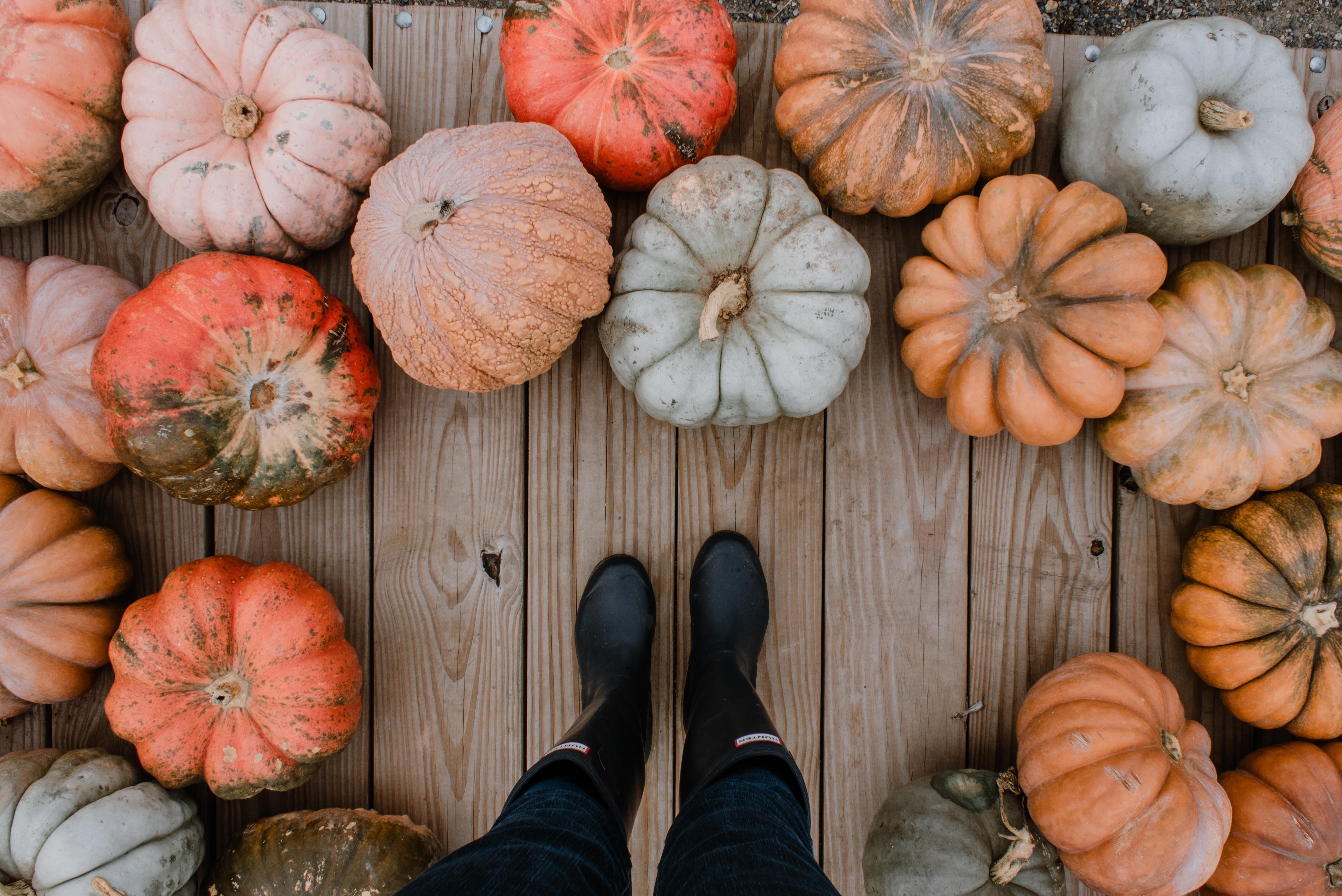 Standing around a variety of pumpkins