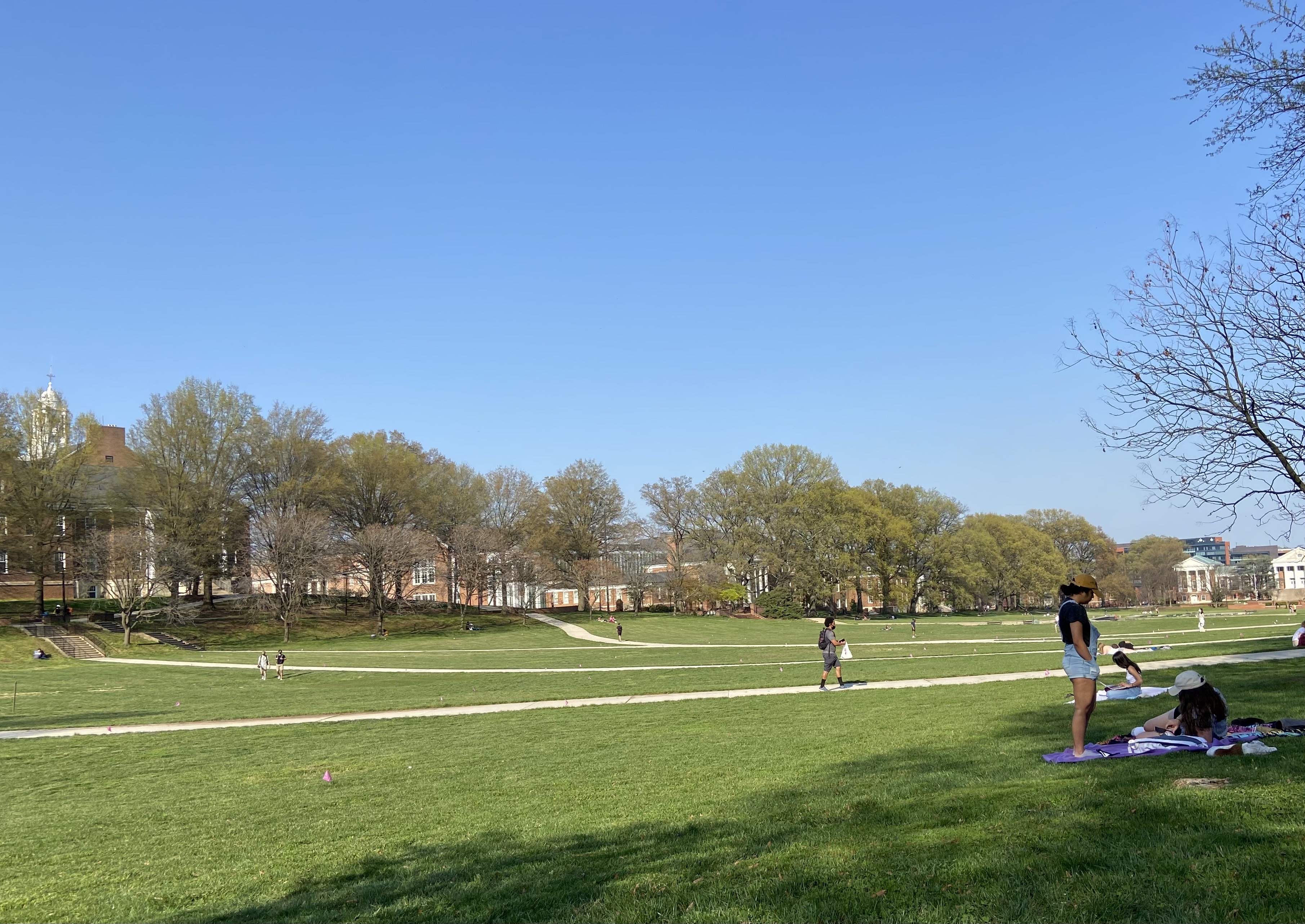 hercampusphoto1jpg by Photo by Samantha Carey