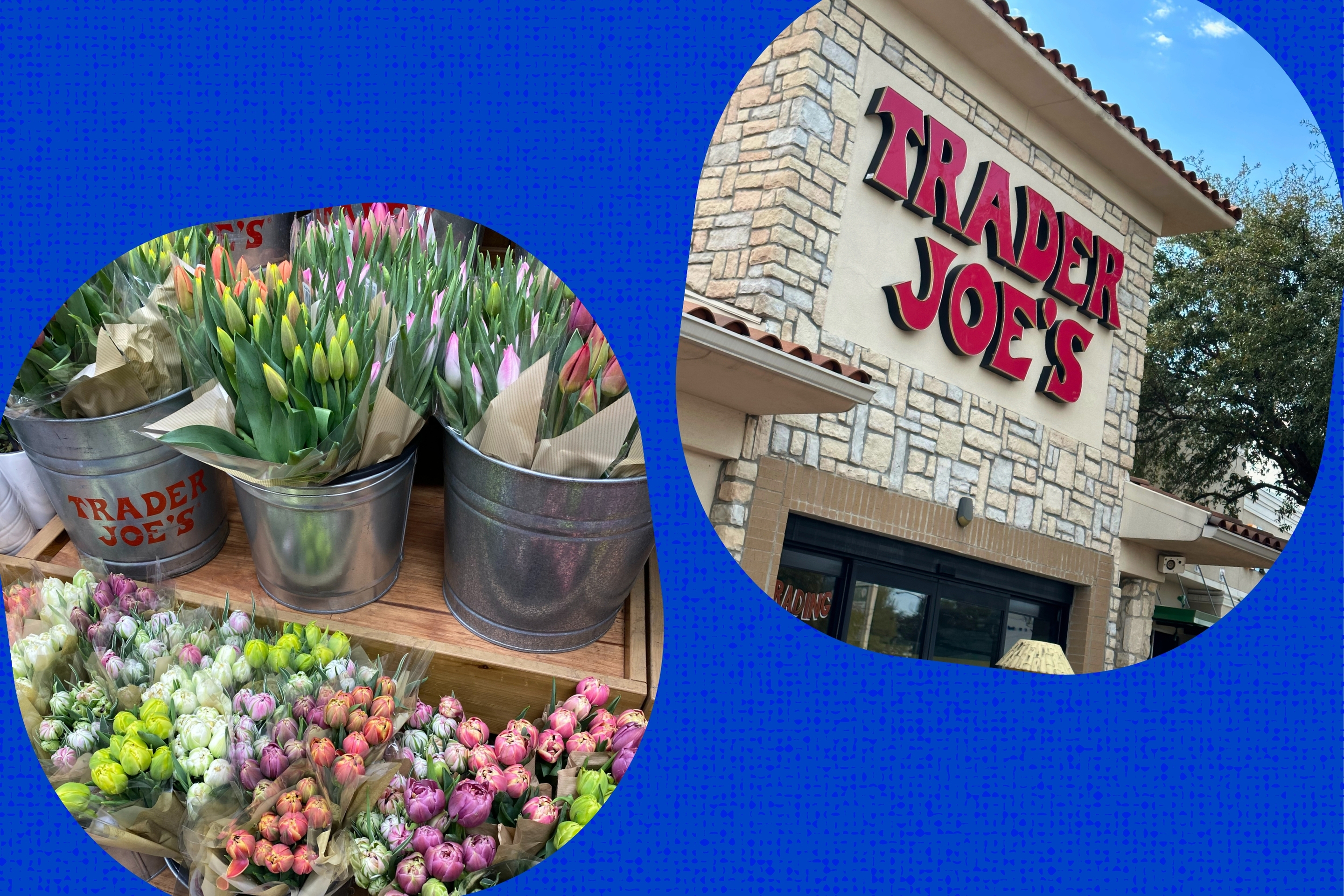 workattraderjoes?width=698&height=466&fit=crop&auto=webp&dpr=4