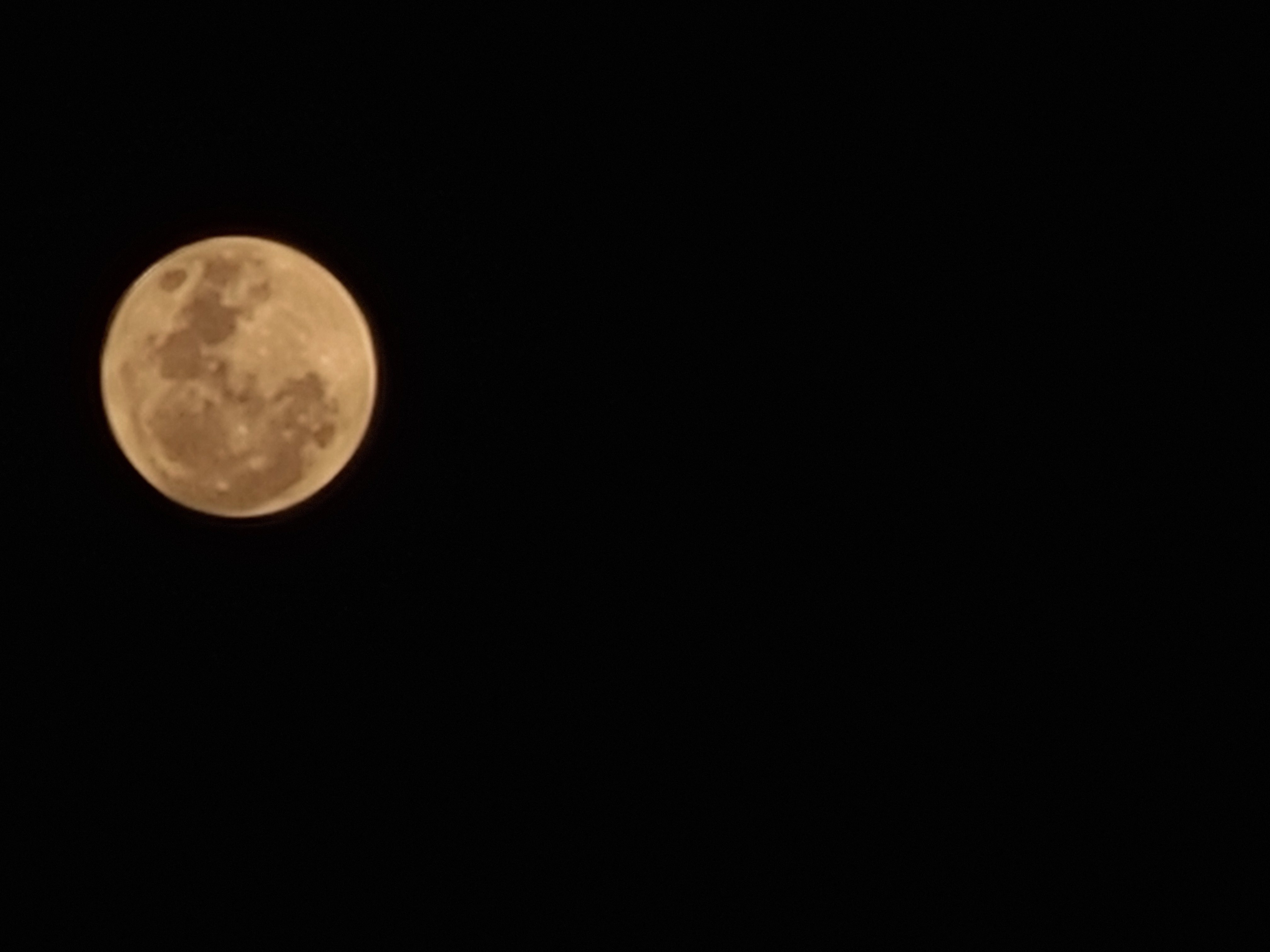 20230830 213326jpg by Phebe Jones?width=698&height=466&fit=crop&auto=webp&dpr=4