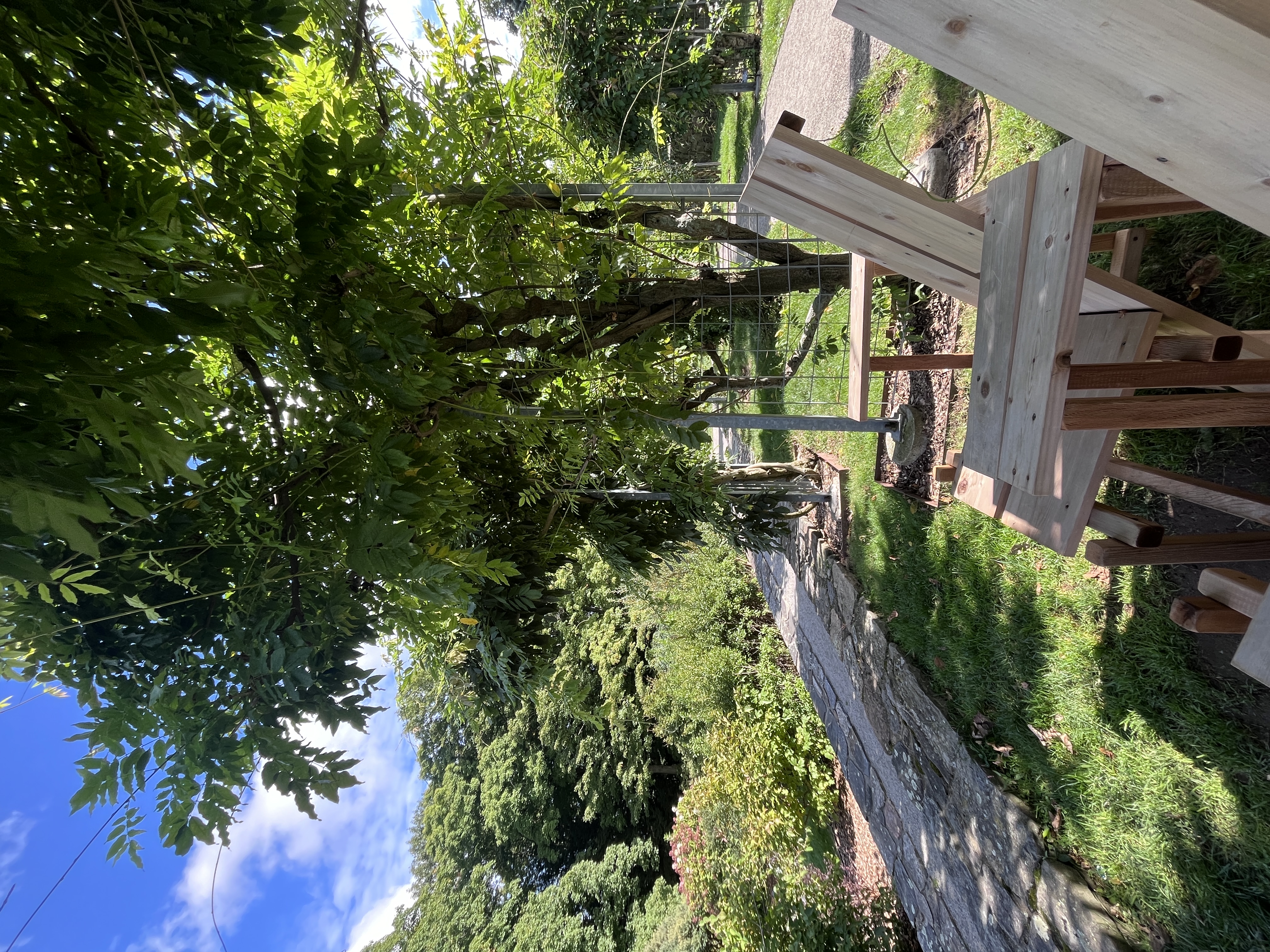 img 9675jpg by Nora Abel?width=698&height=466&fit=crop&auto=webp&dpr=4