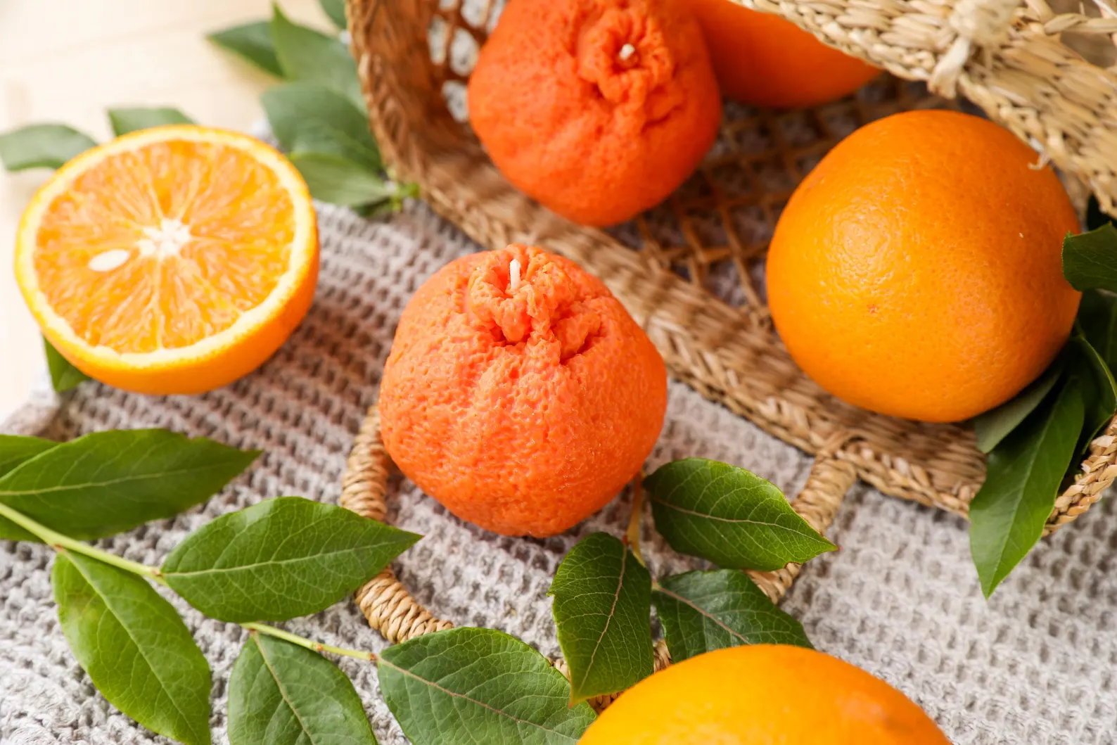 gen z foodie gift guide