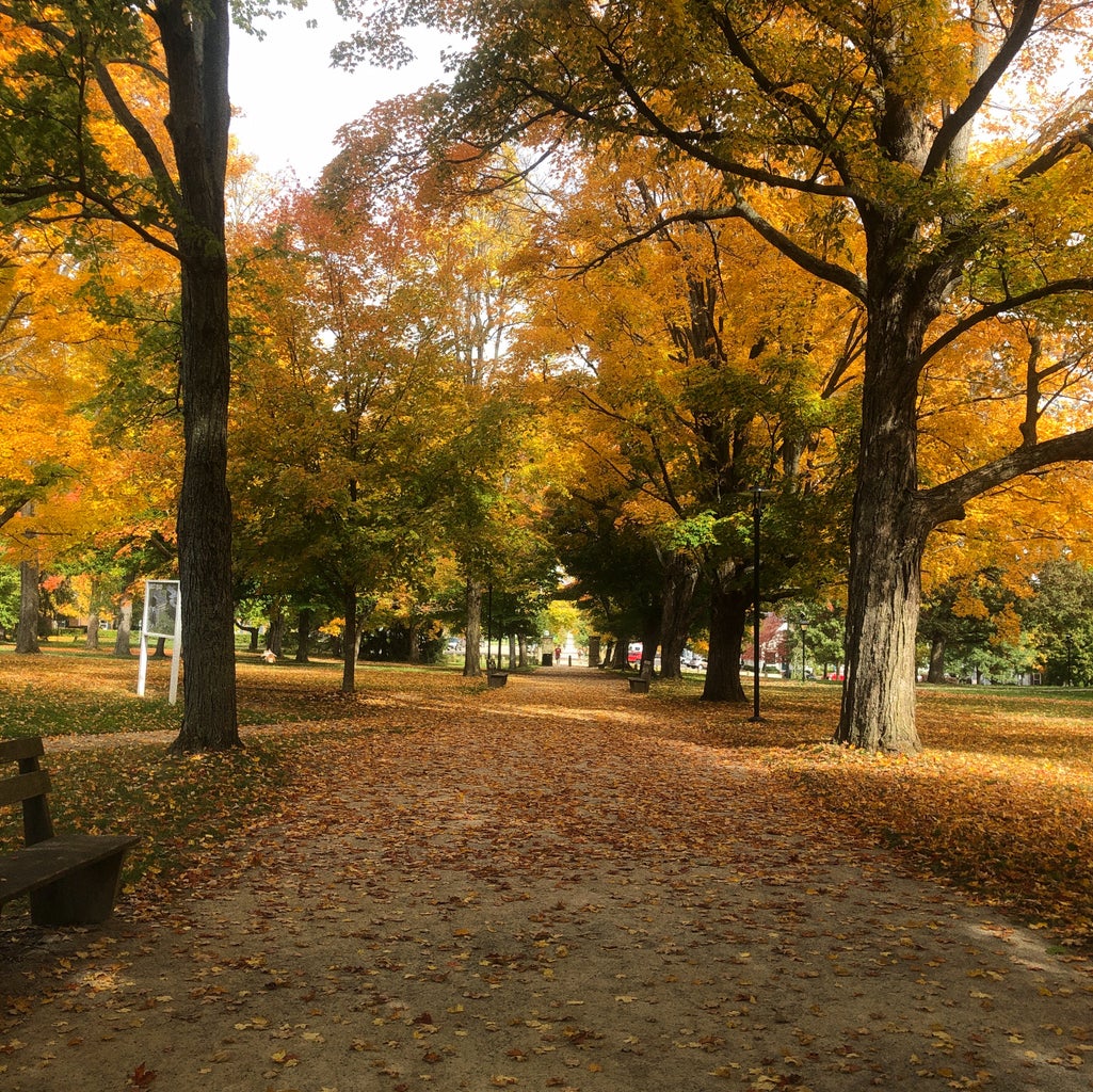 Kenyon College Middle Path Fall