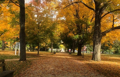 Kenyon College Middle Path Fall