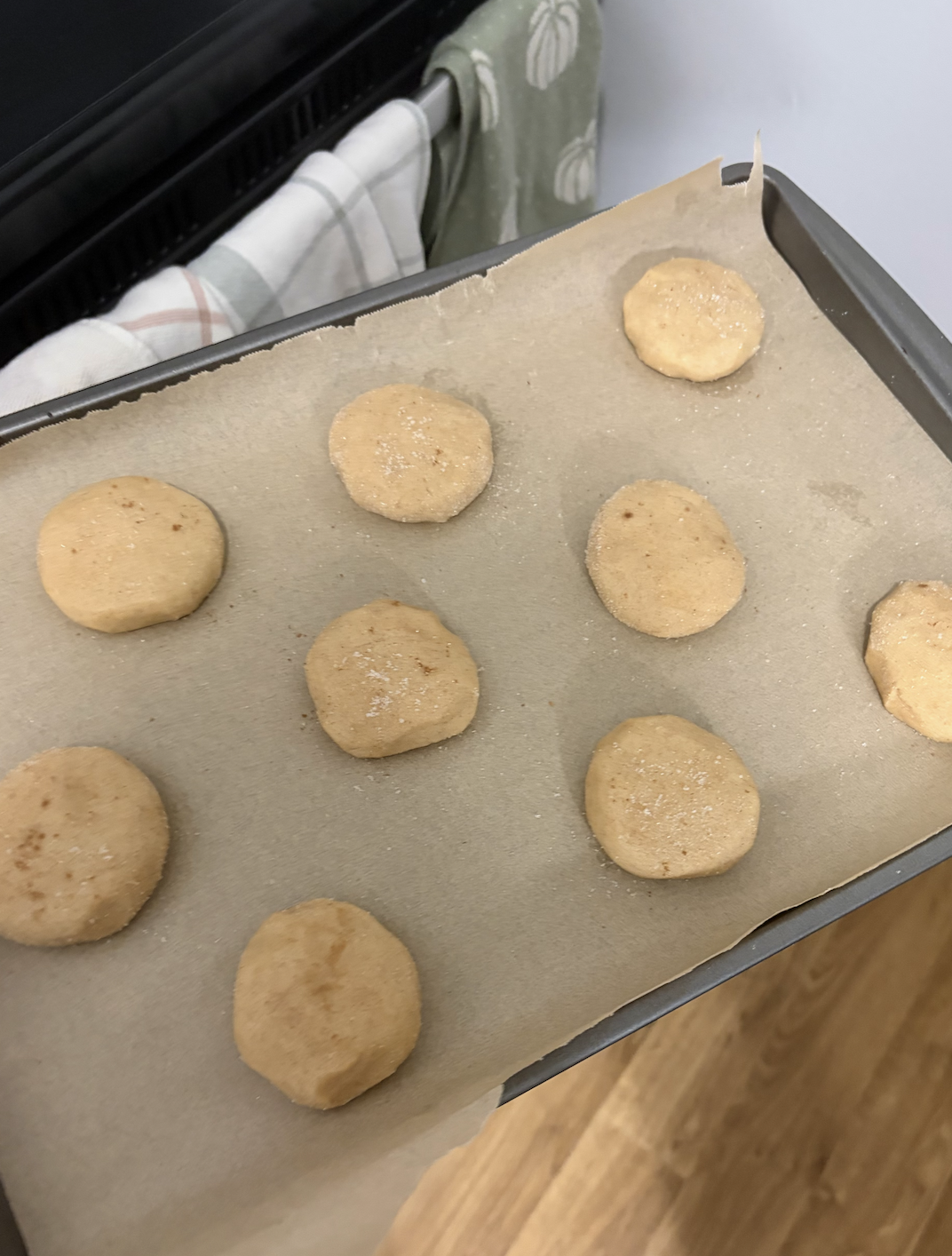 snickerdoodle cookie dough