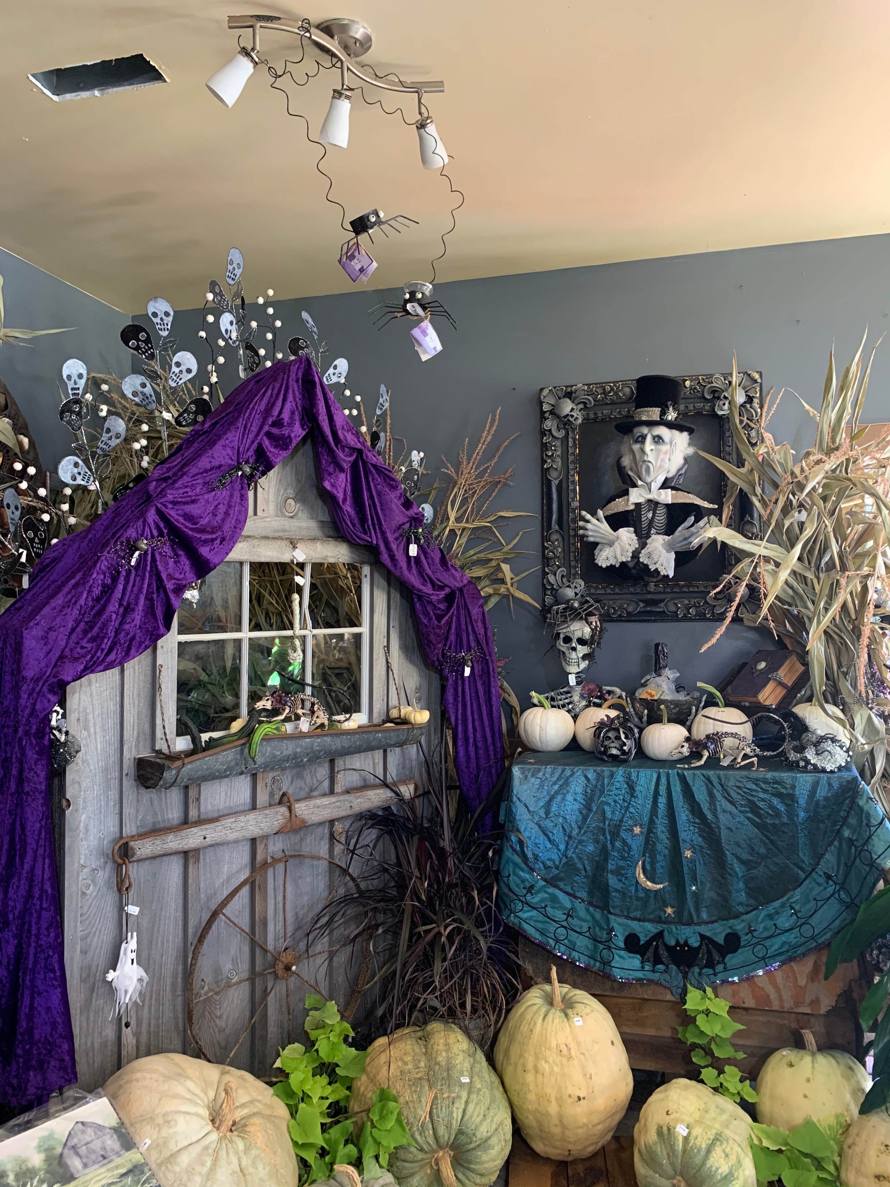 Pumpkins surrounded by an array of Halloween decorations