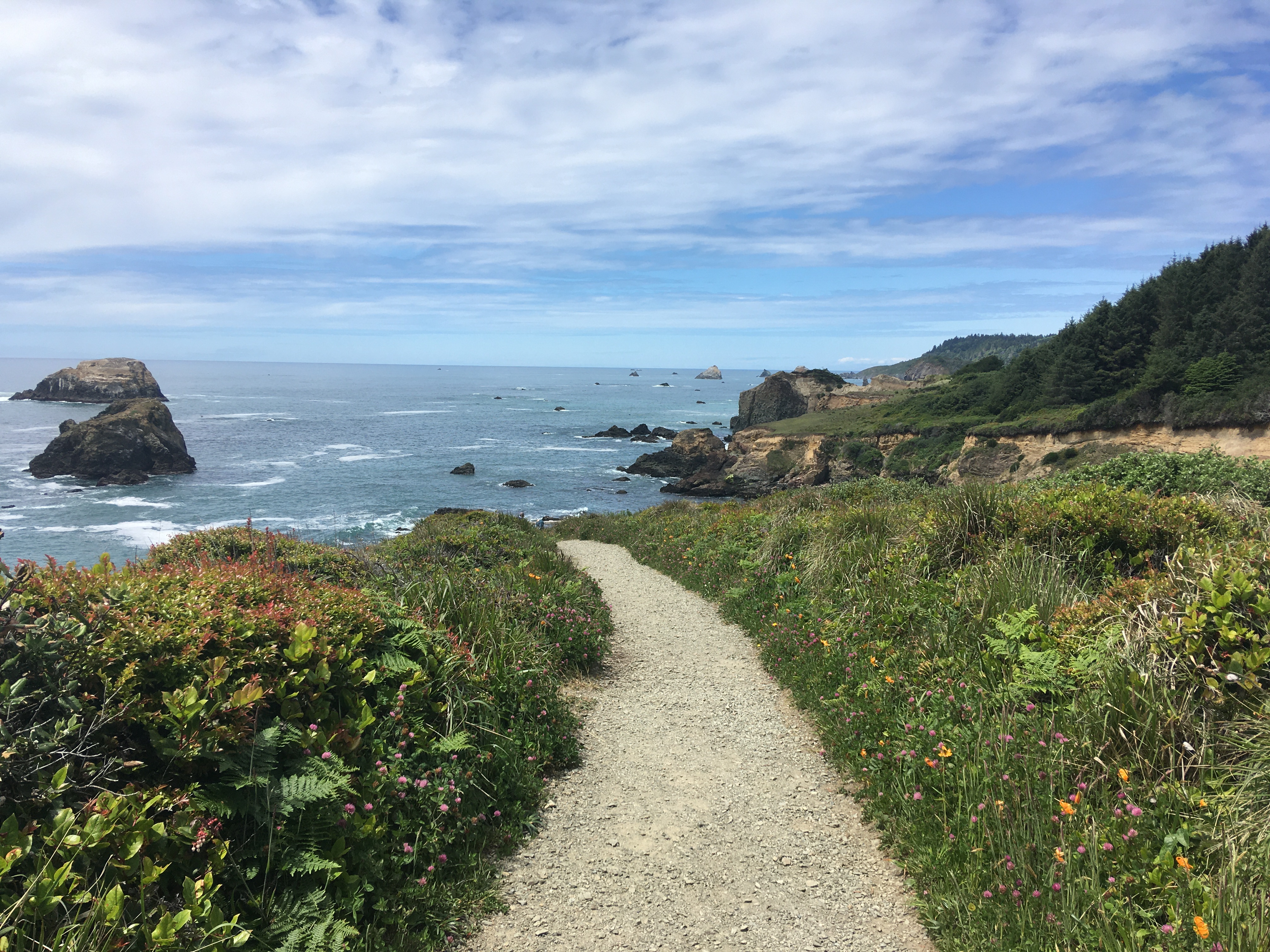 e03bc7cc52504c9e9ce6e2f4d69641c2 1jpg by Hadlie Ward?width=698&height=466&fit=crop&auto=webp&dpr=4