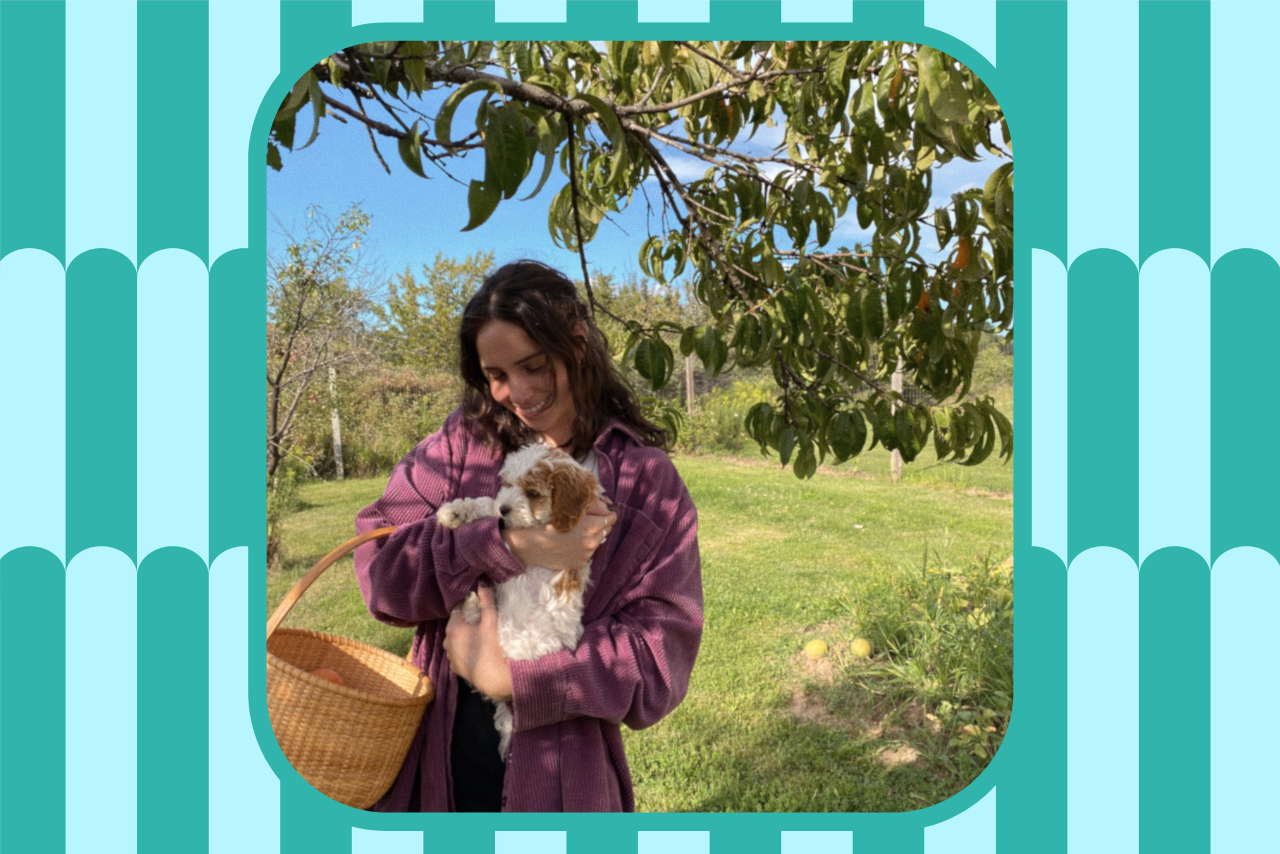 lyft puppy bowl?width=698&height=466&fit=crop&auto=webp&dpr=4