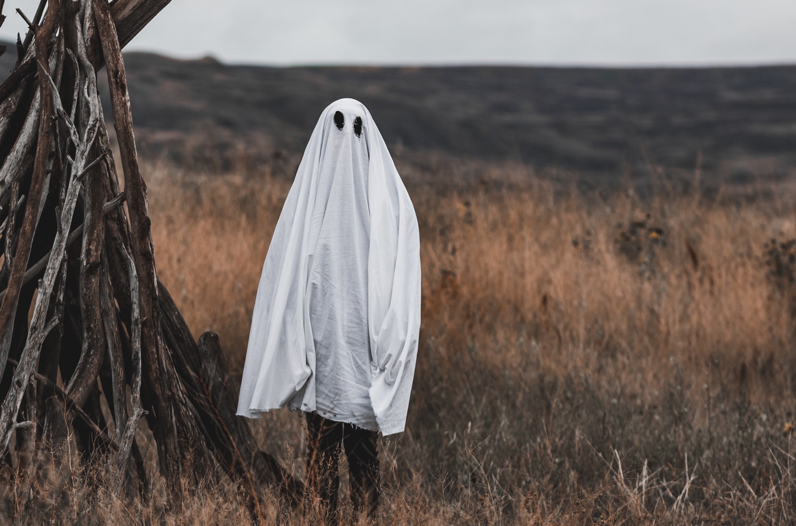 ghost by Tandem X Visuals on Unsplash