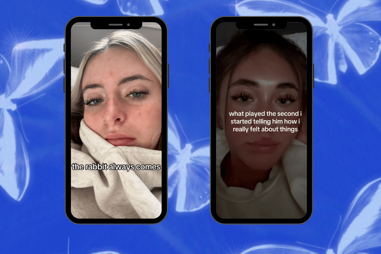 stupid rabbit tiktok?width=698&height=466&fit=crop&auto=webp&dpr=4