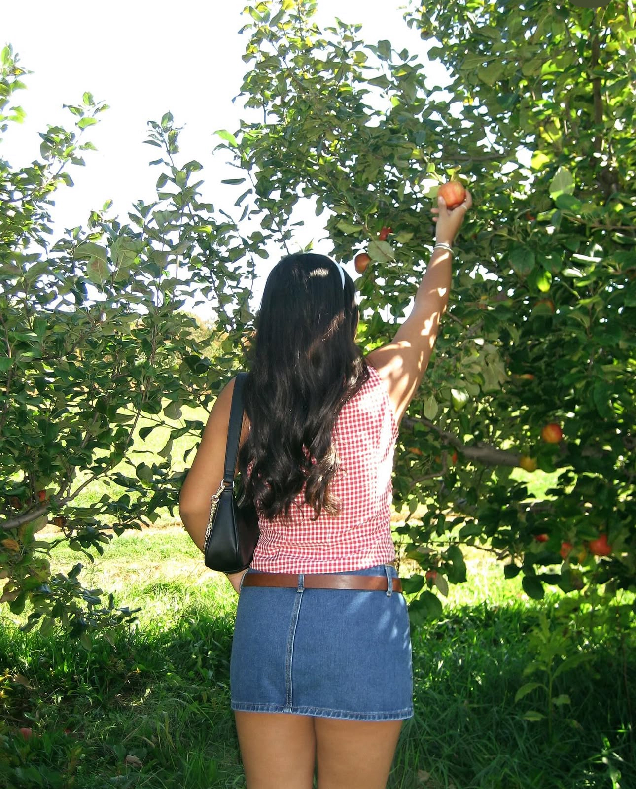 Apple picking