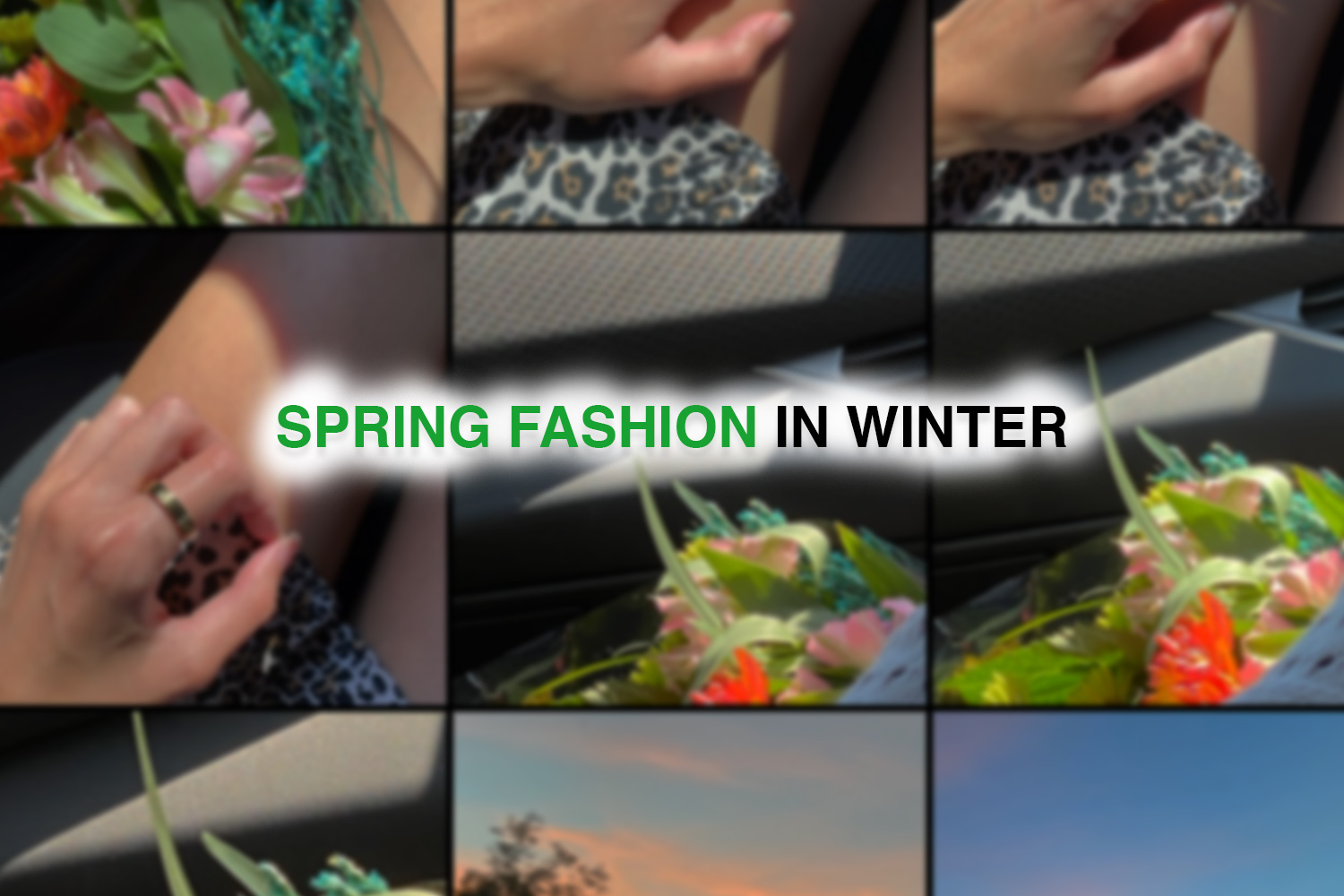 springinwinterjpg by Brianne Petrone