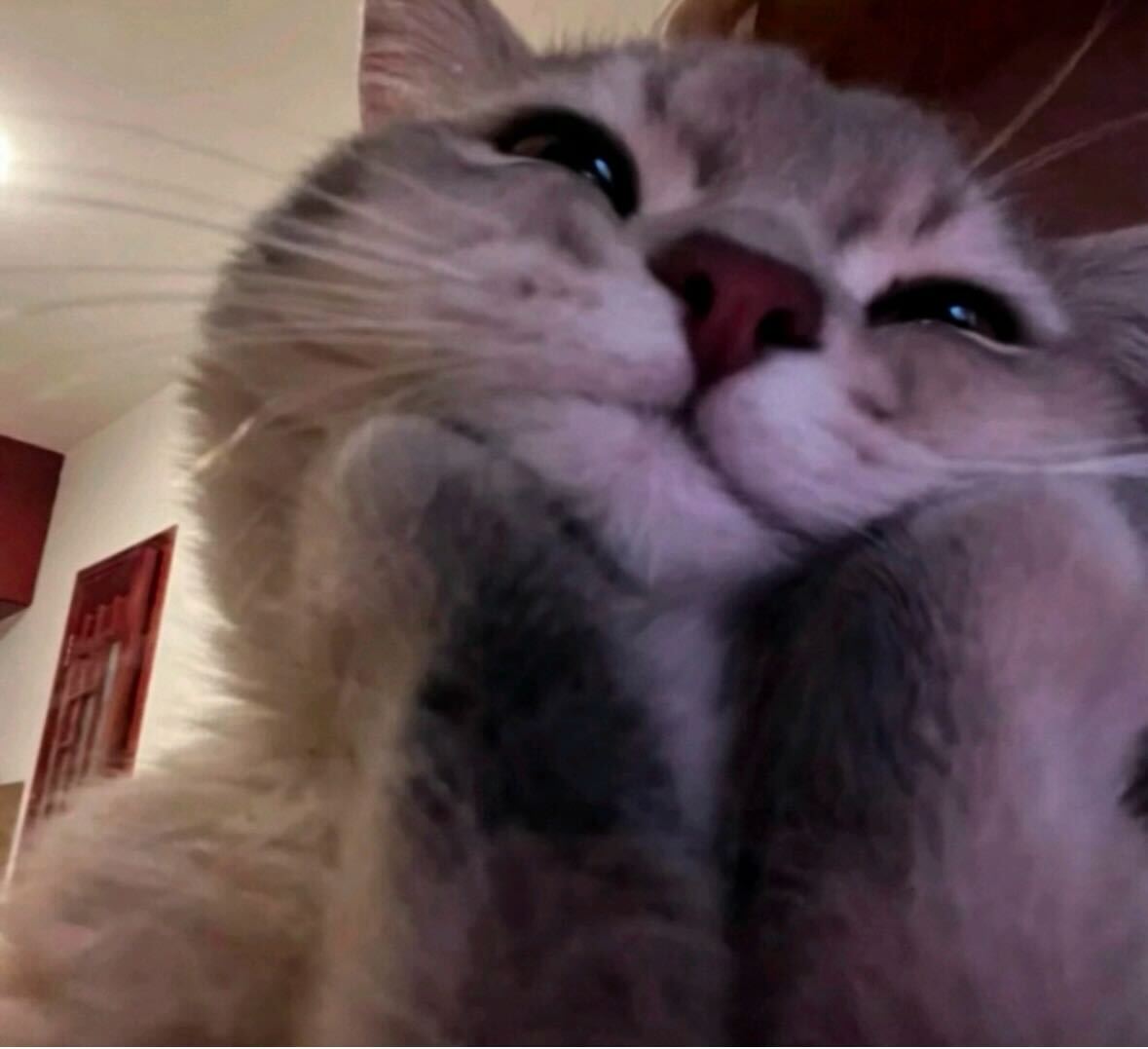 IMG 9238?width=300&height=300&fit=cover&auto=webp&dpr=4