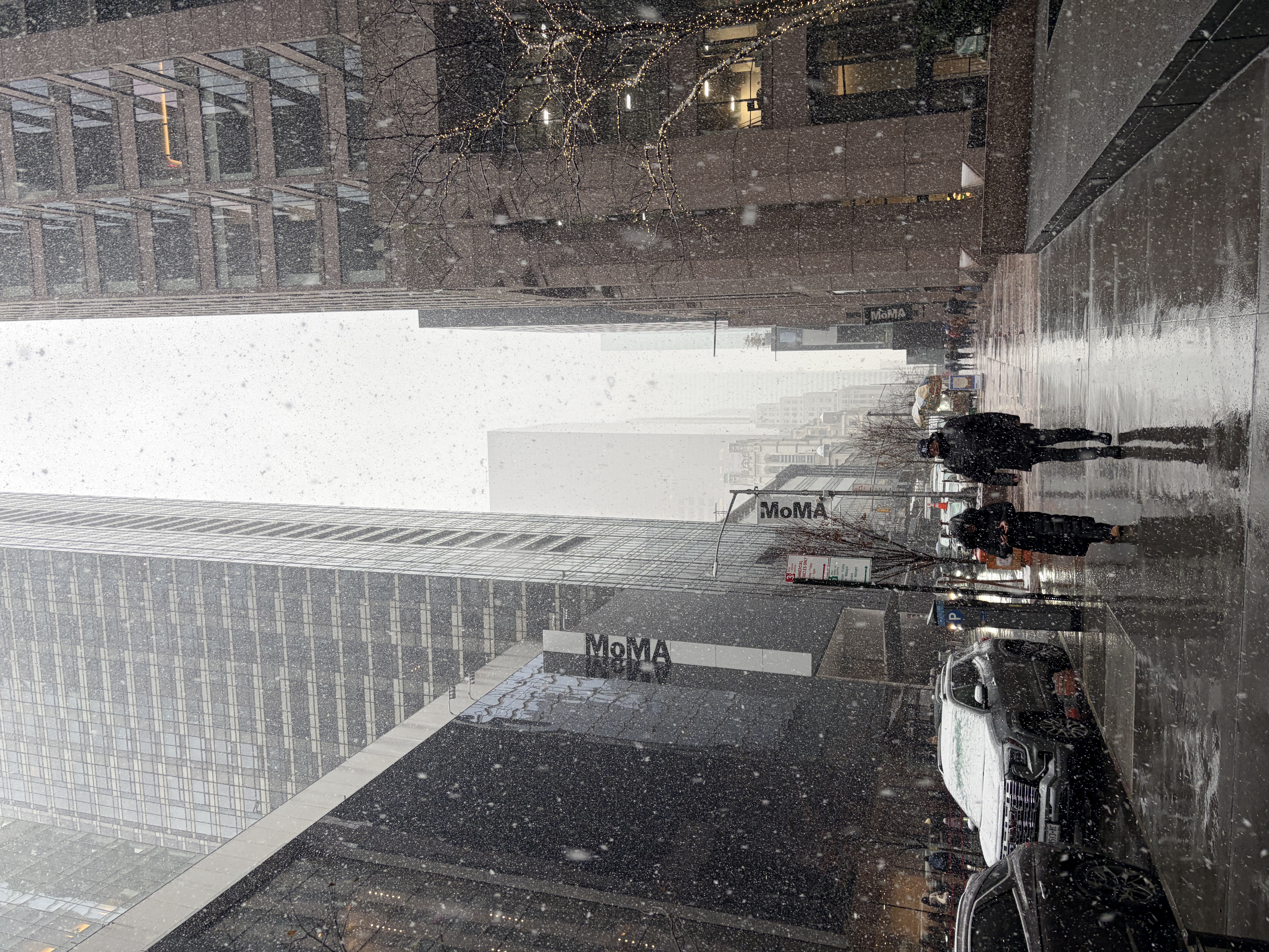 img 8690jpg by Hana Ito Ibrahim?width=698&height=466&fit=crop&auto=webp&dpr=4