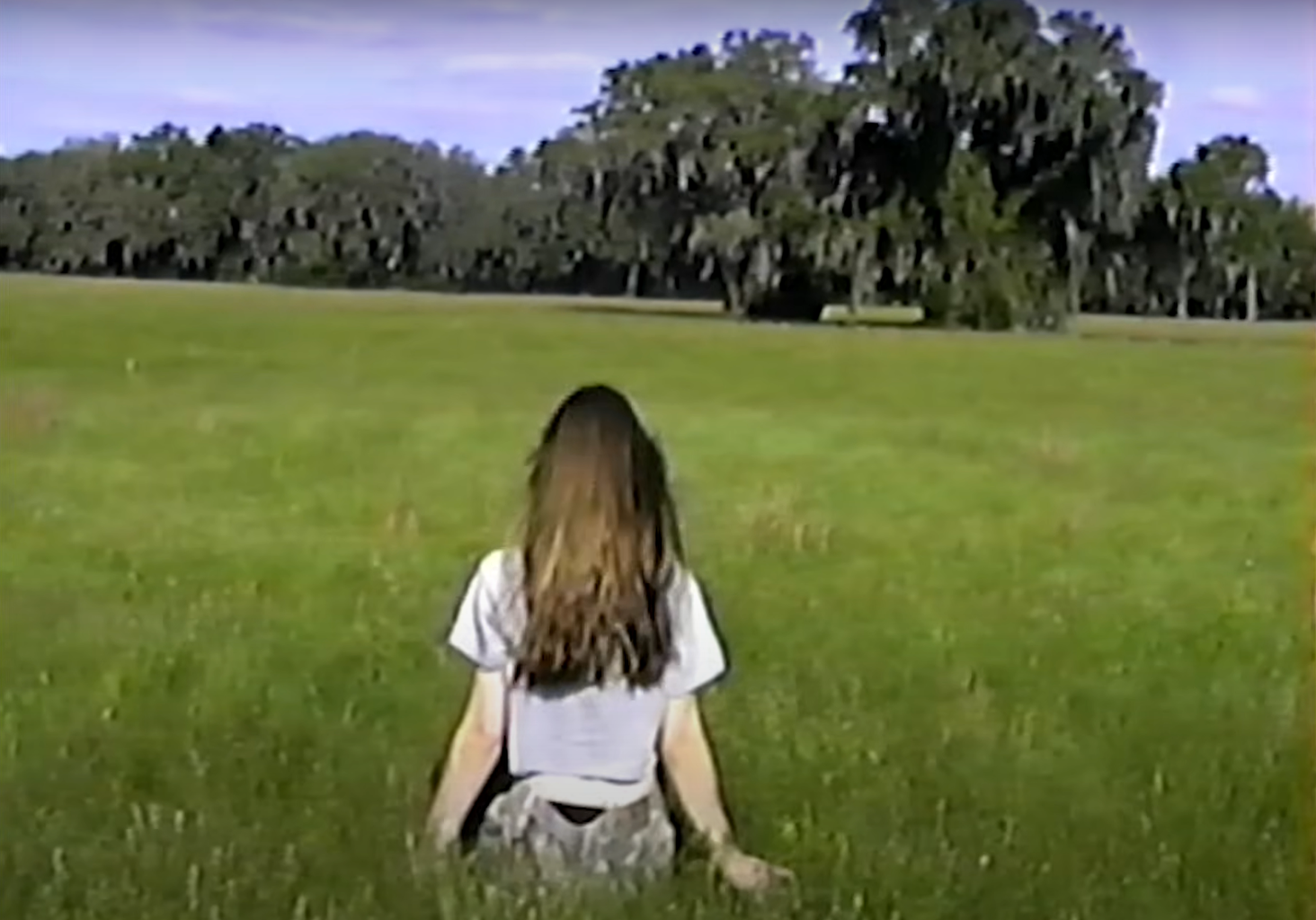 Ethel Cain (young white woman) sits facing away from the camera in a field of green grass. There are trees in the horizon. Her long brown hair flows down her back.