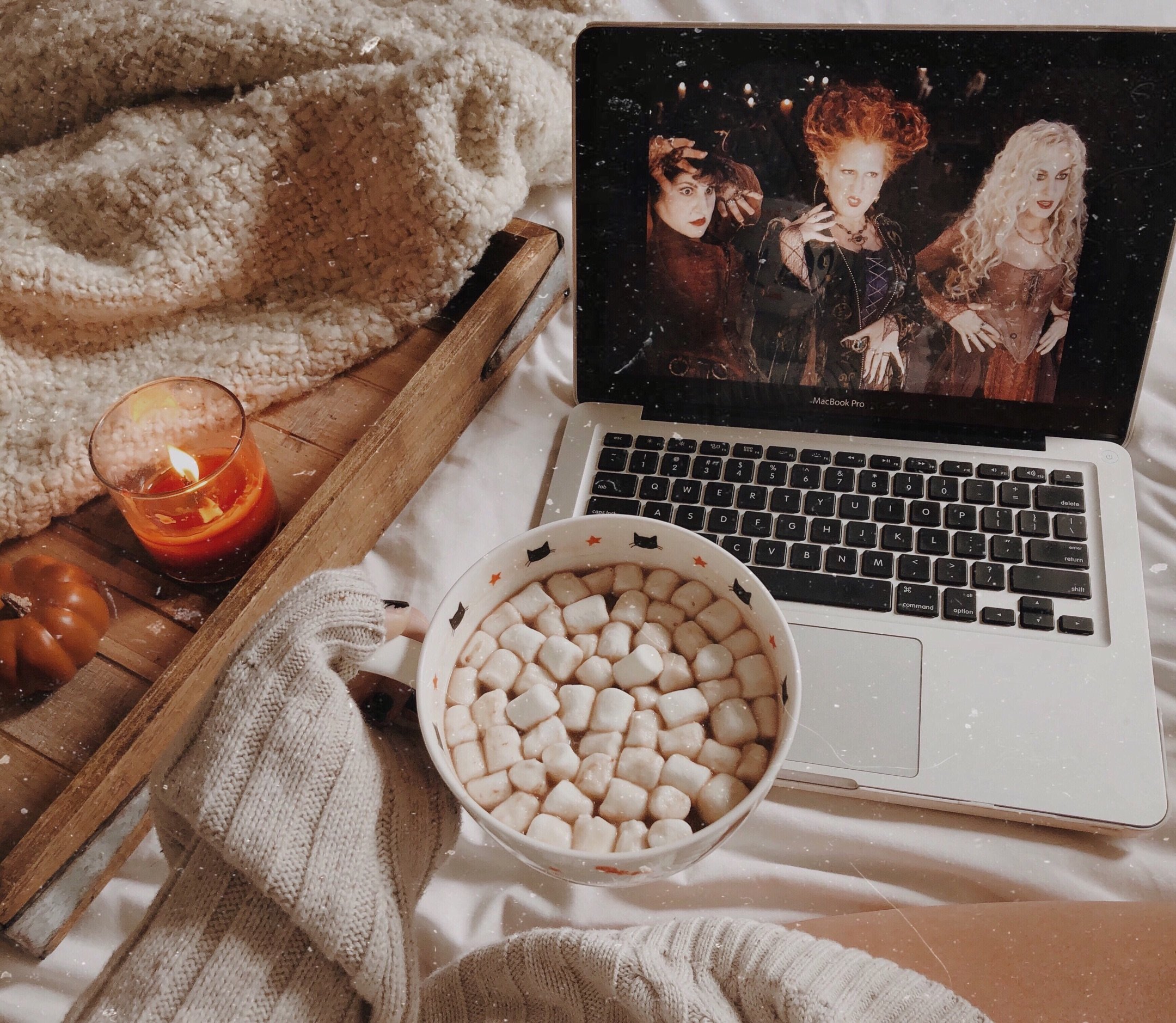 img 5072jpg by Courtney Free