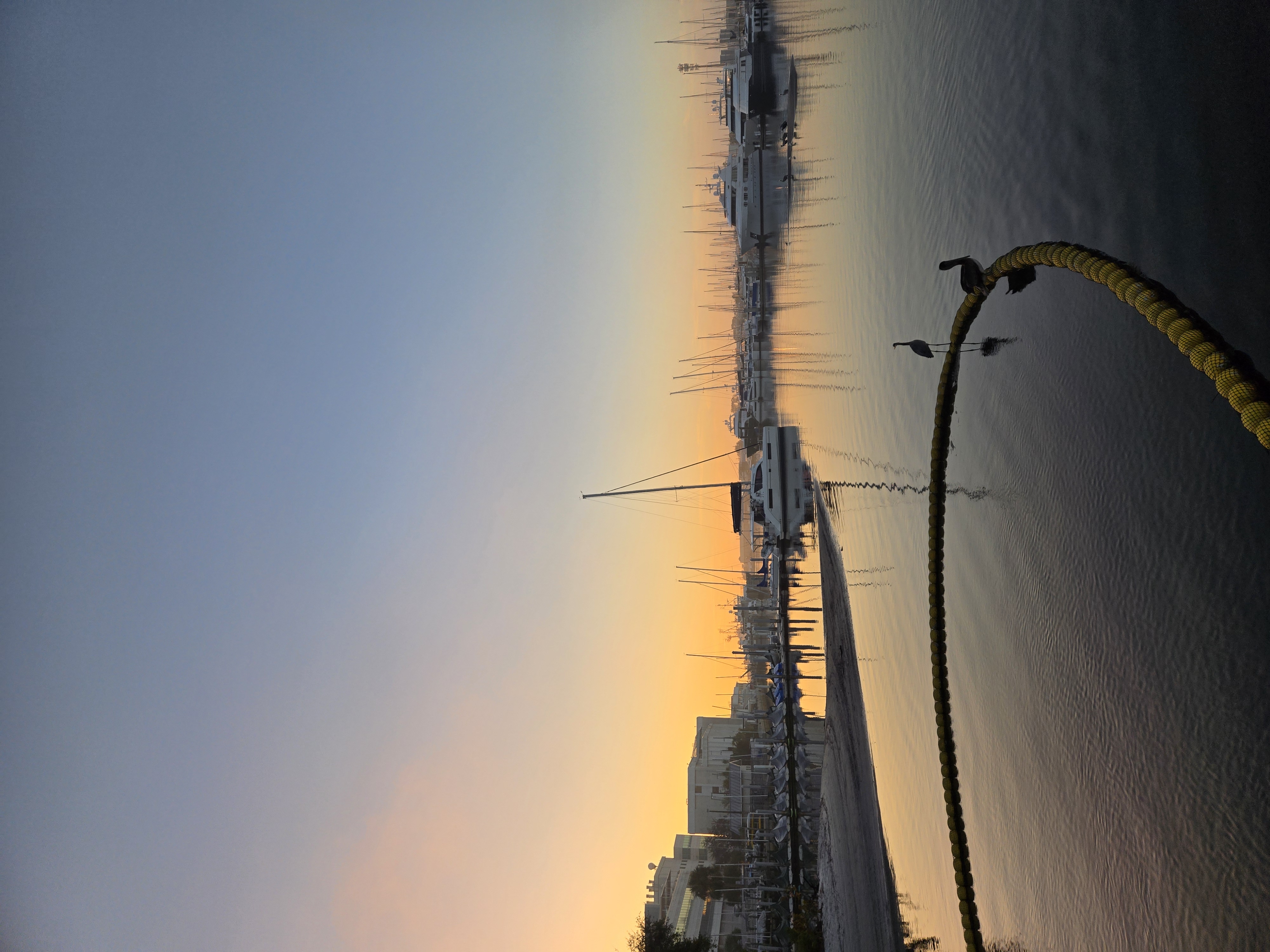 Photo of Bayboro Harbor on University of South Florida St. Petersburg Campus