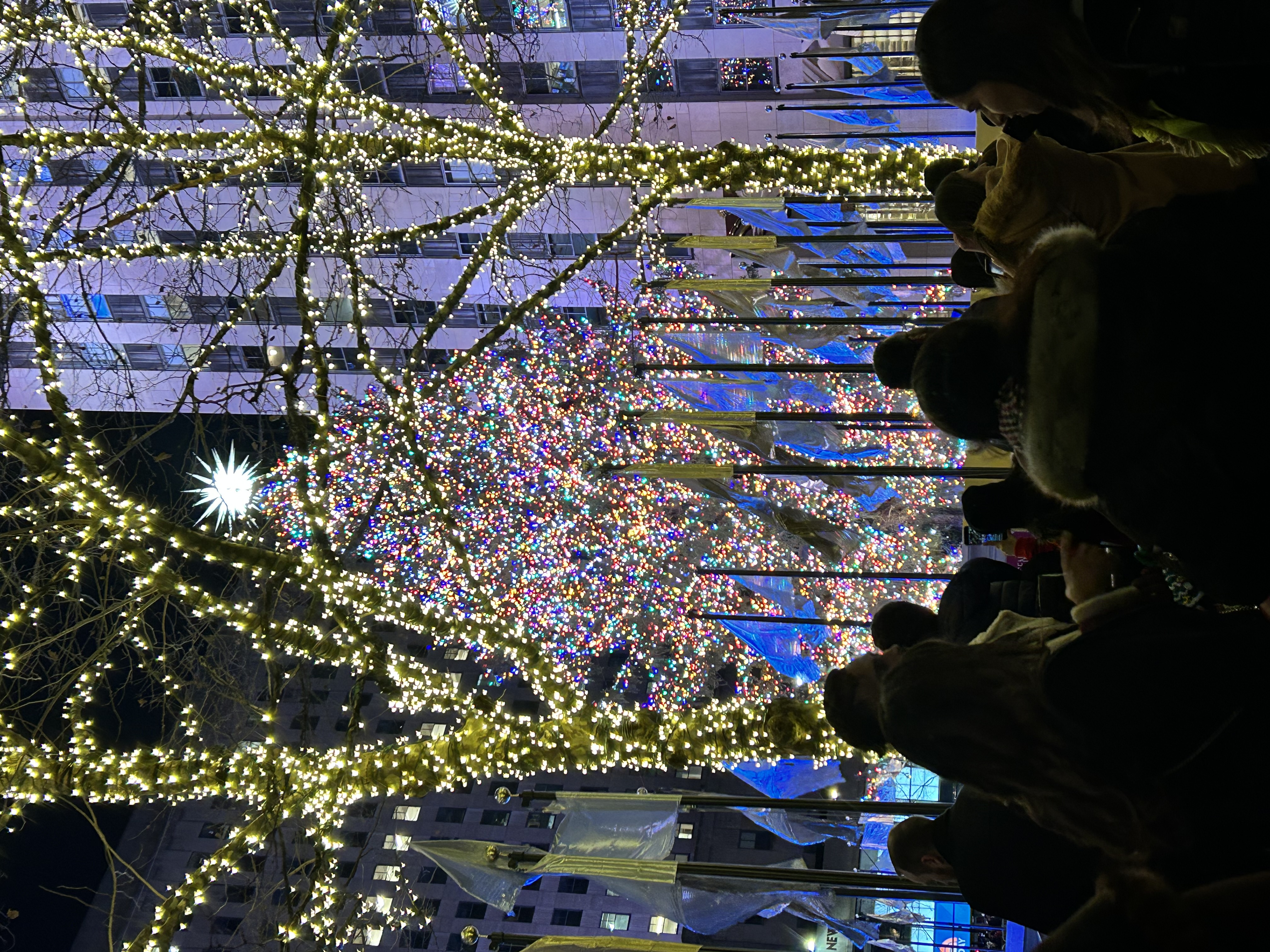 img 2481jpegjpg by Holiday Photos in the City?width=698&height=466&fit=crop&auto=webp&dpr=4