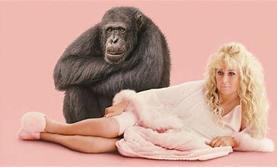 chimp crazy herojpg by Eric Goode?width=698&height=466&fit=crop&auto=webp&dpr=4