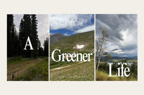 nature scenes with words