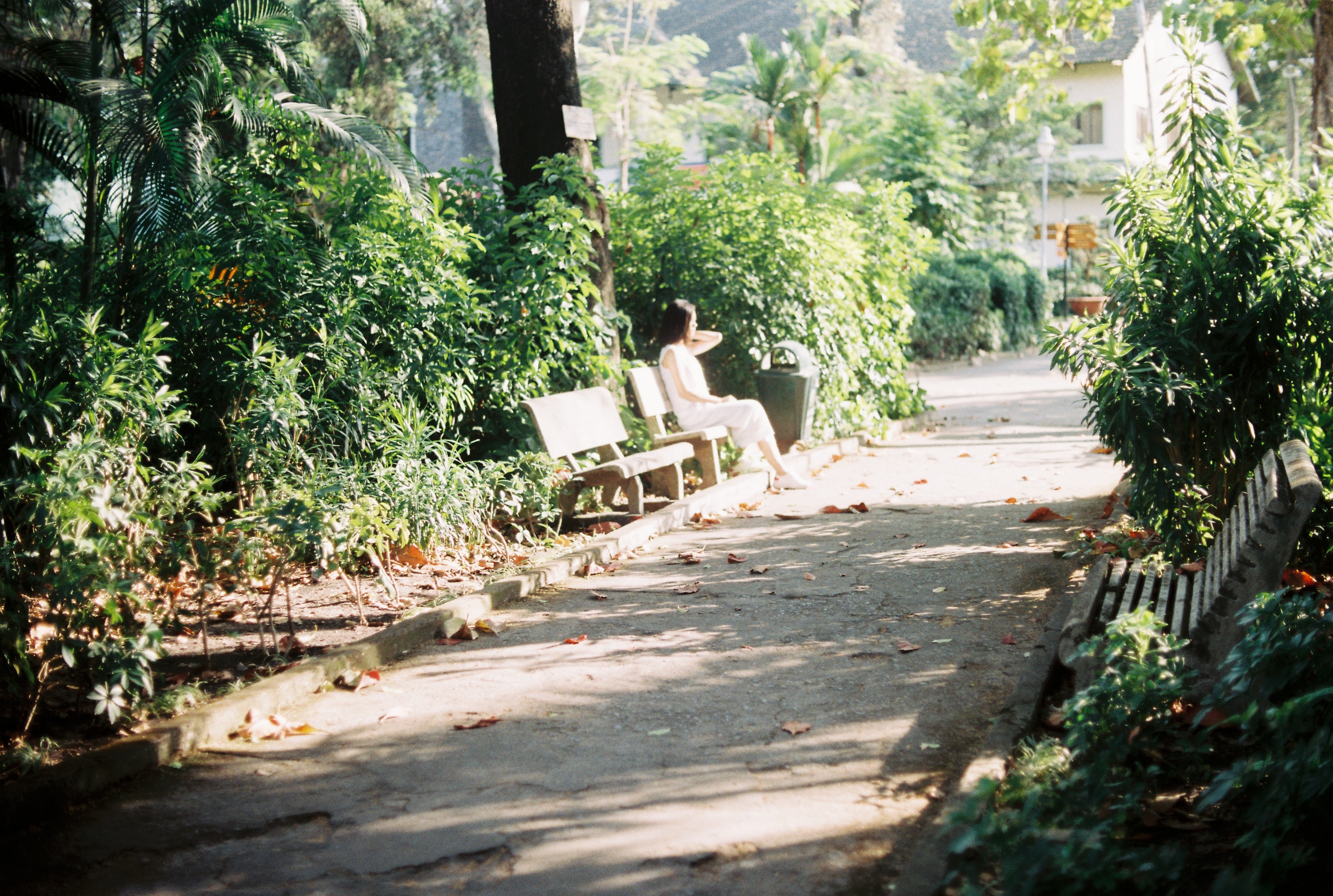 dngngckhalyzwlyjamk0unsplashjpg by Via ng Ngc Kha on Unsplash