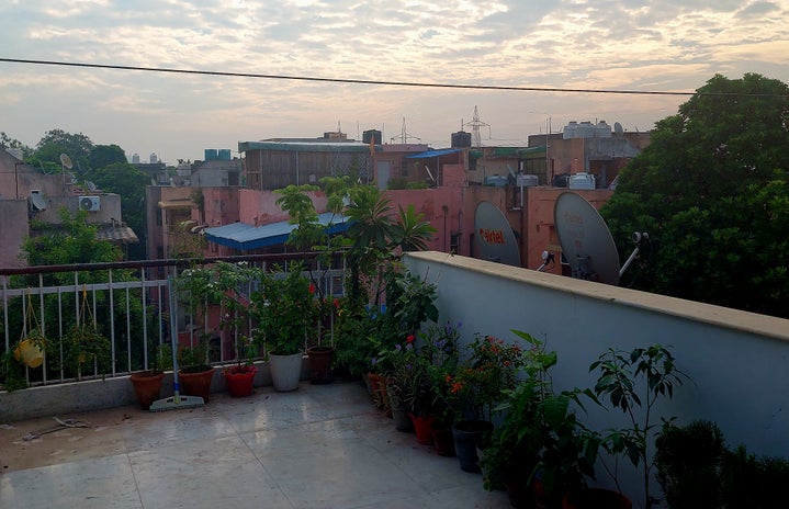 A rooftop in India in the early morning.