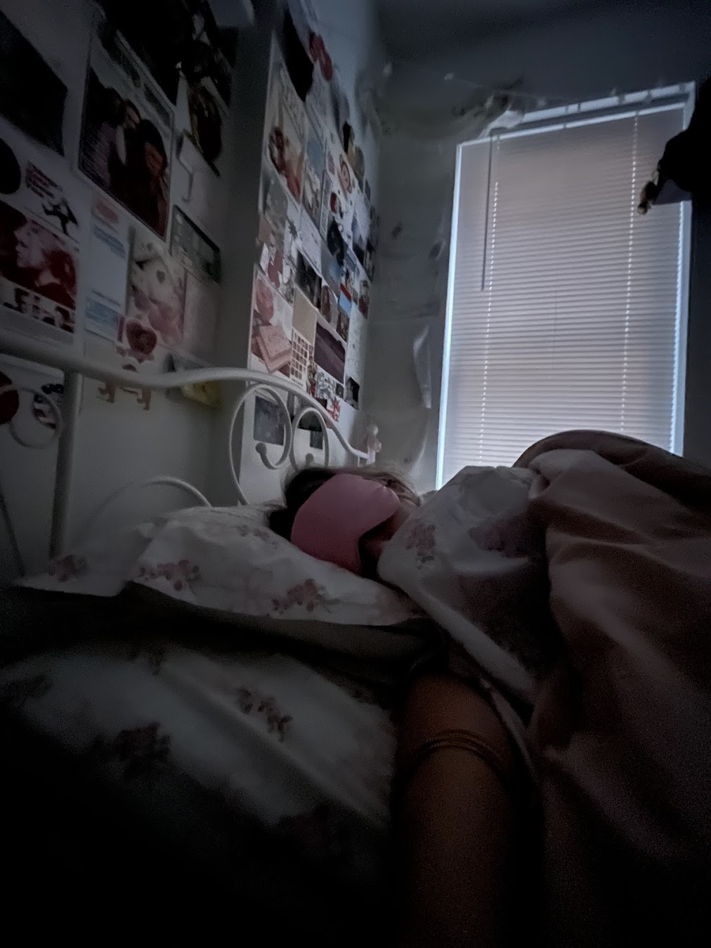 rojienne groves dorm diaries