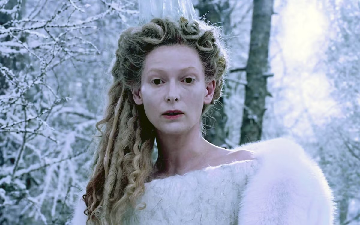 narnia costume