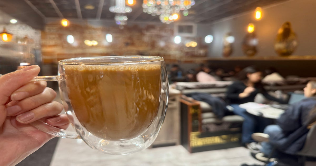 Spilling the Chai: A Ranked Guide to Hot Chai at UC Berkeley