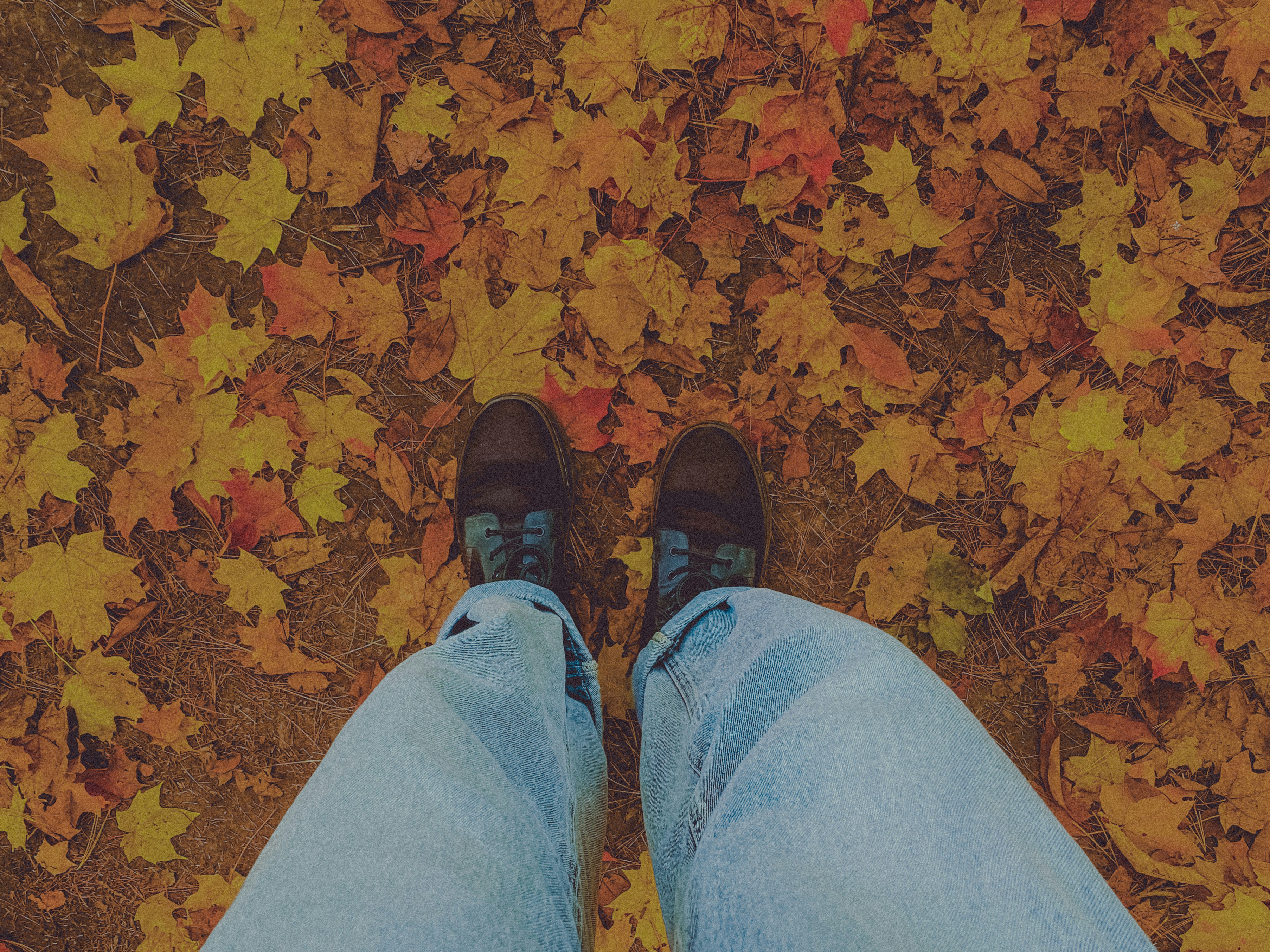 Fall aesthetic