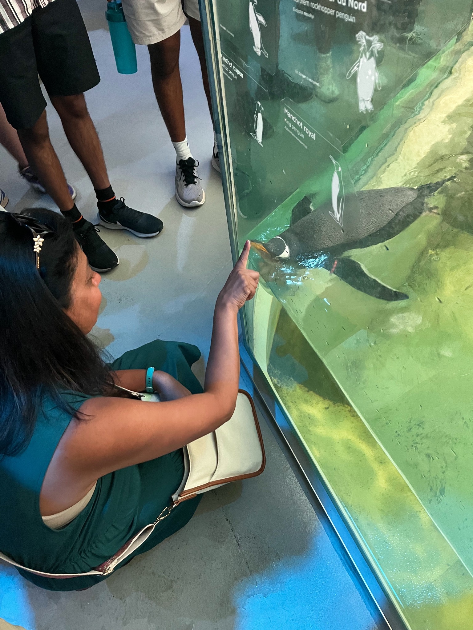 My mom and a penguin at the zoo