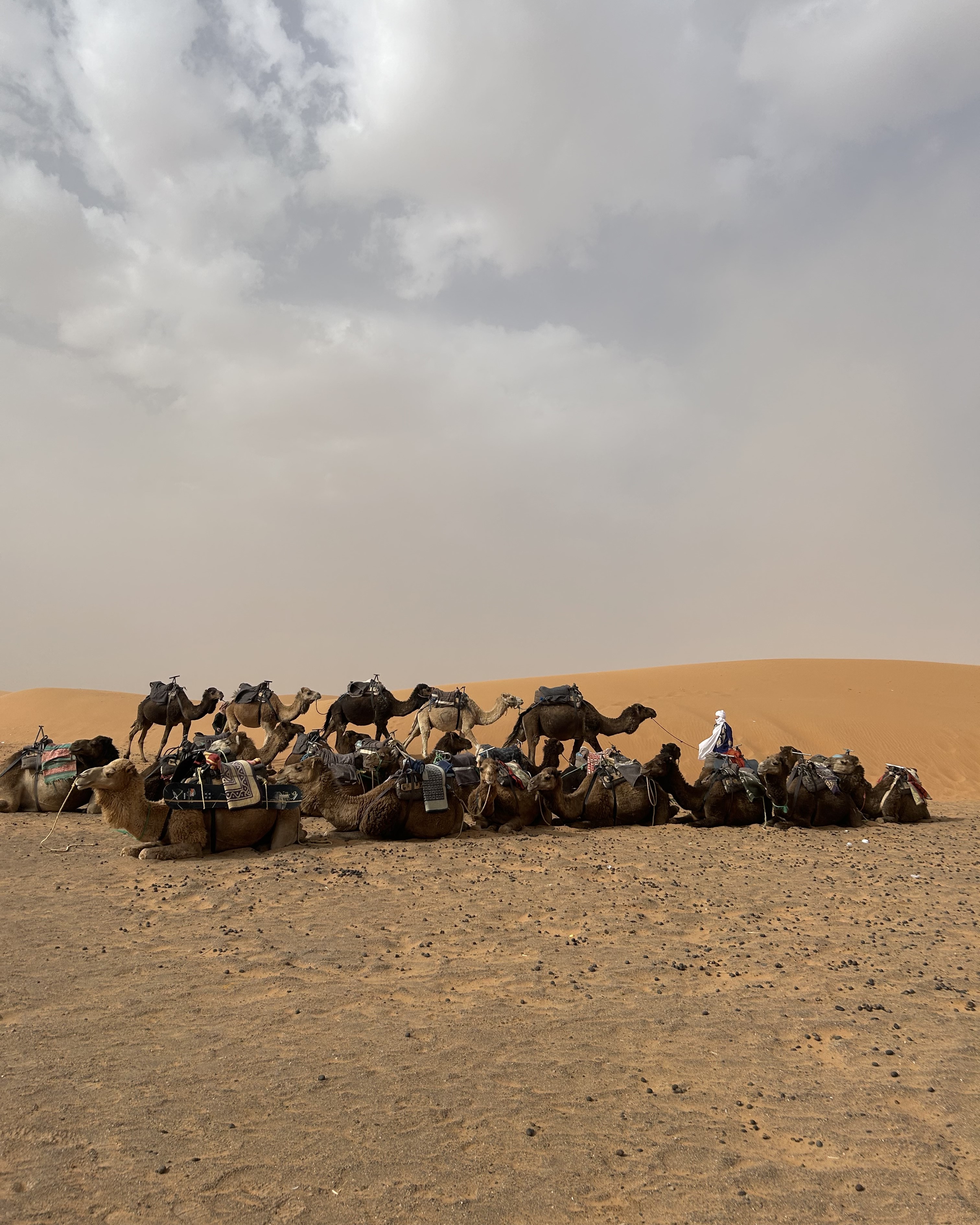 img 3262 1jpg by Atiya Malik?width=698&height=466&fit=crop&auto=webp&dpr=4