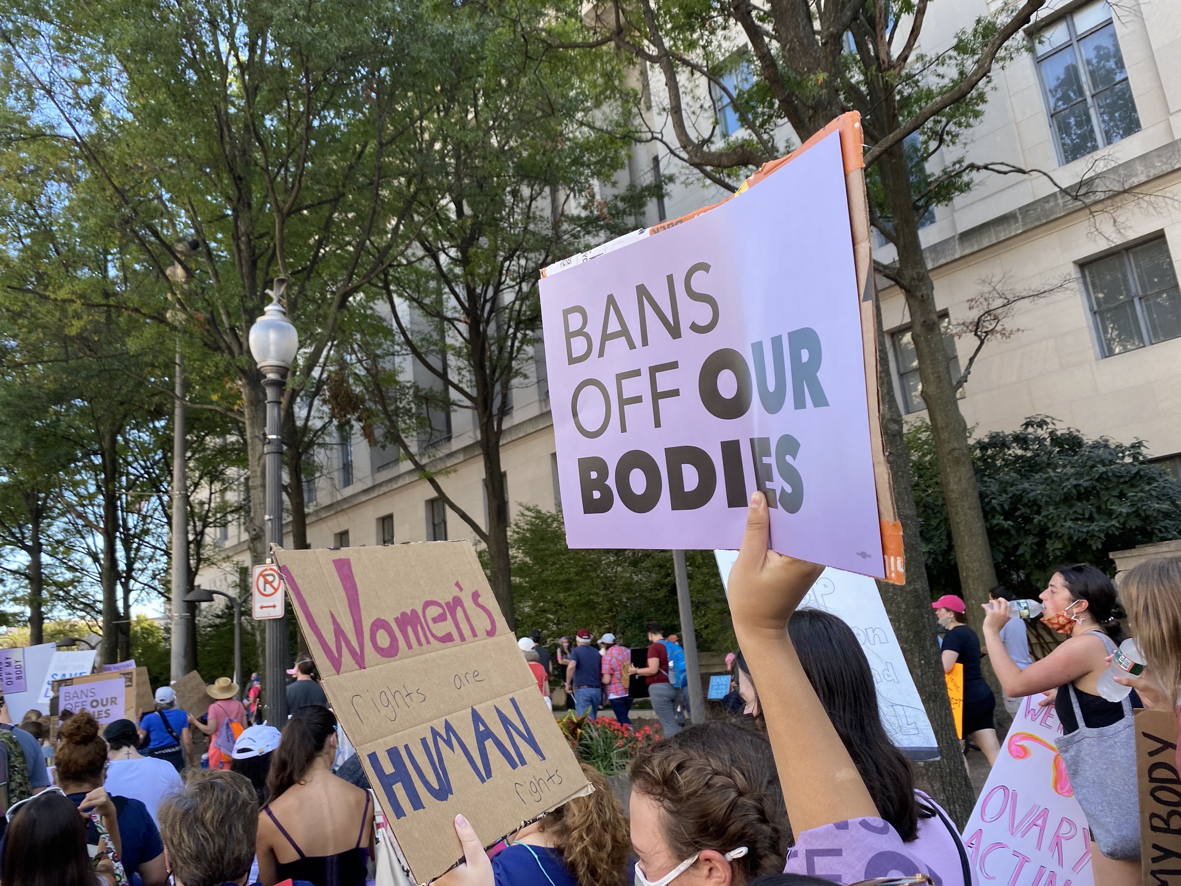 img 5120jpg by Kara Thompson?width=698&height=466&fit=crop&auto=webp&dpr=4