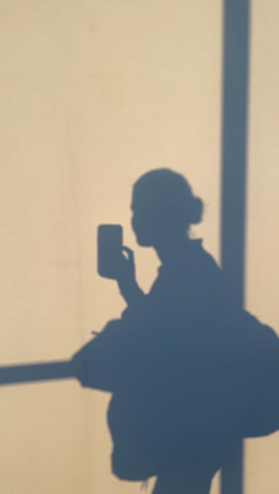 unfollowing influencers politics