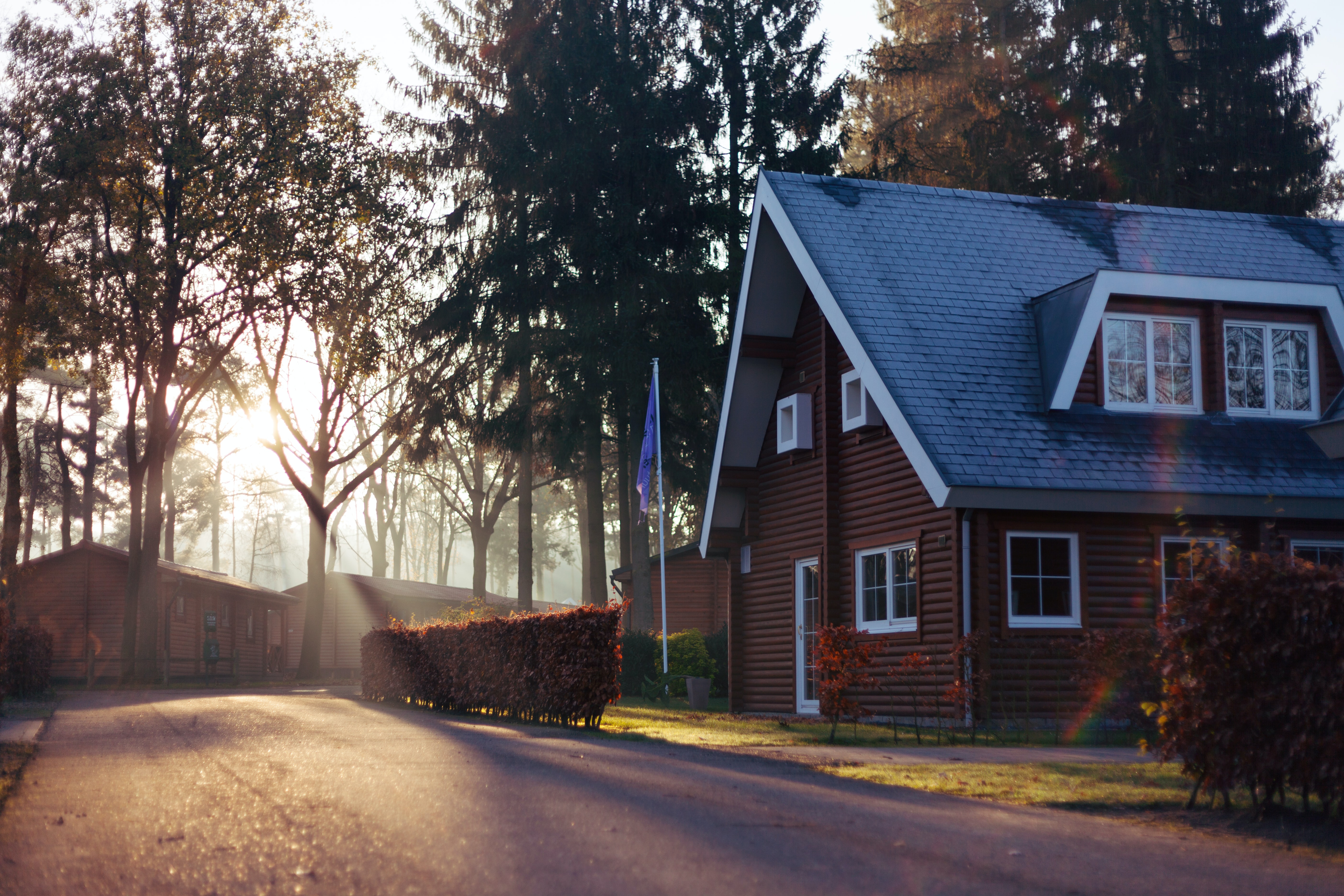 brown house in the woods with sun shining through trees