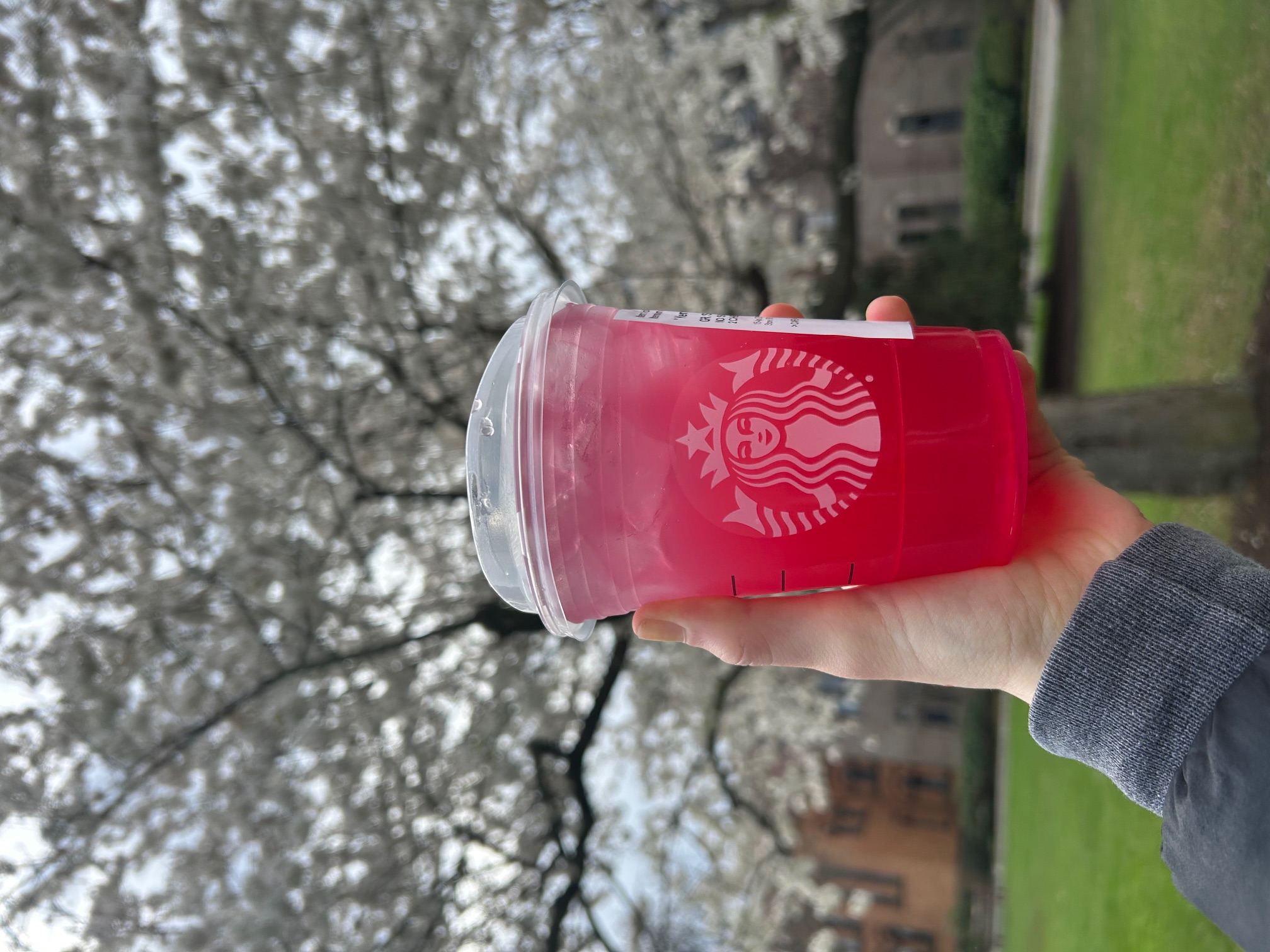 starbucks cherry lemonade 2025
