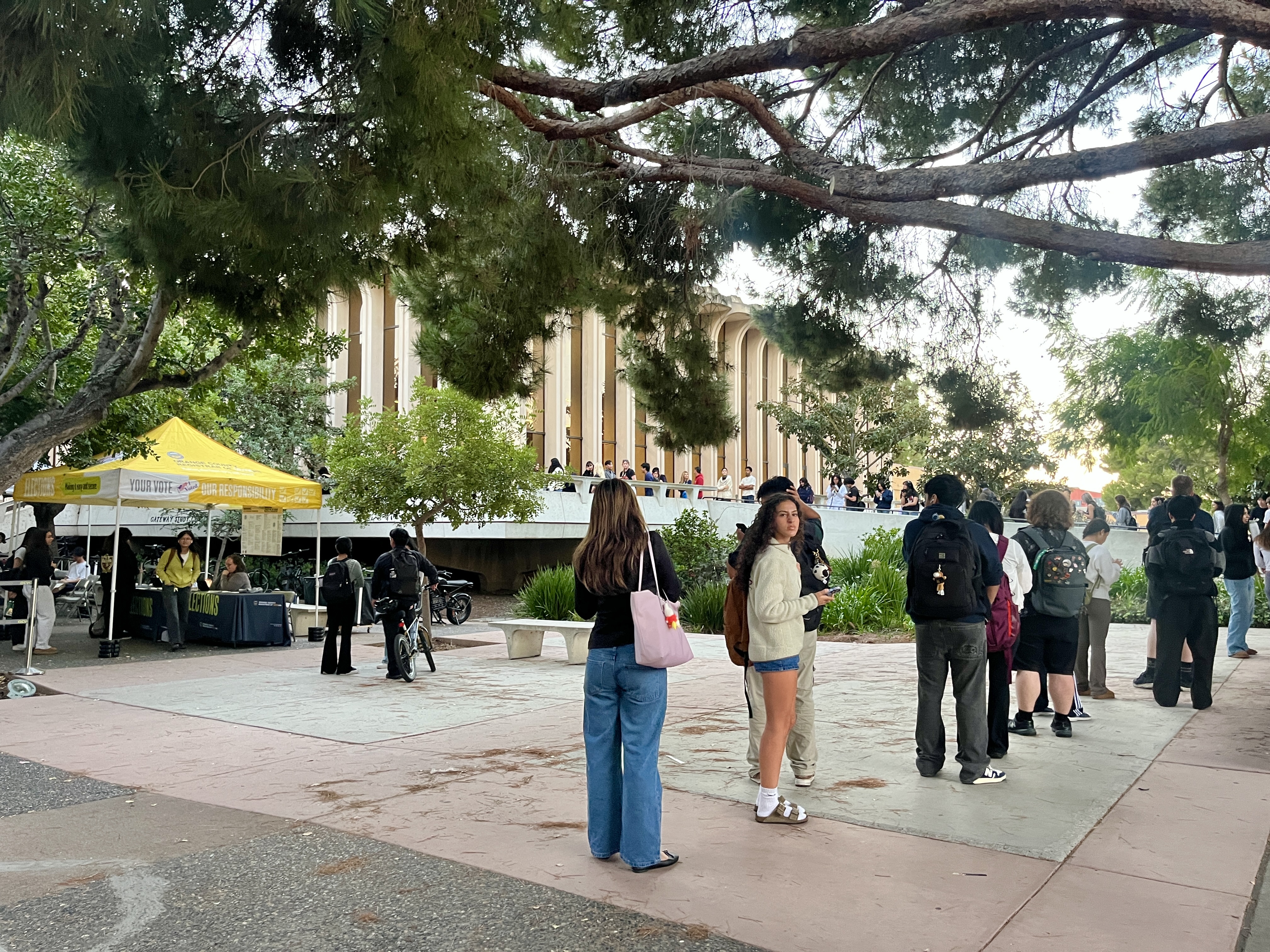 UCI students waiting in line to vote outside of the Gateway Study Center on Election Day.