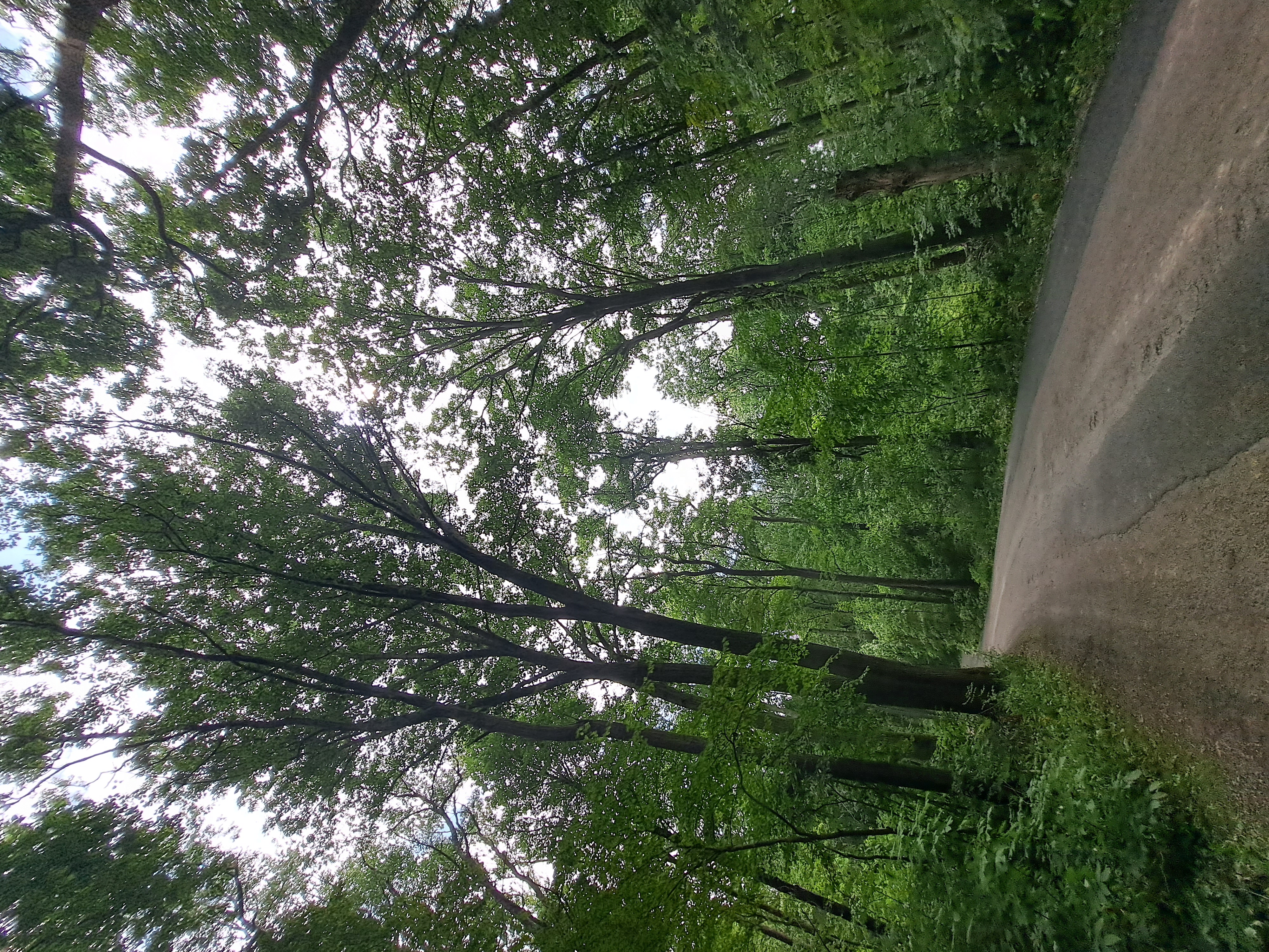 Wheatley Provincial Park