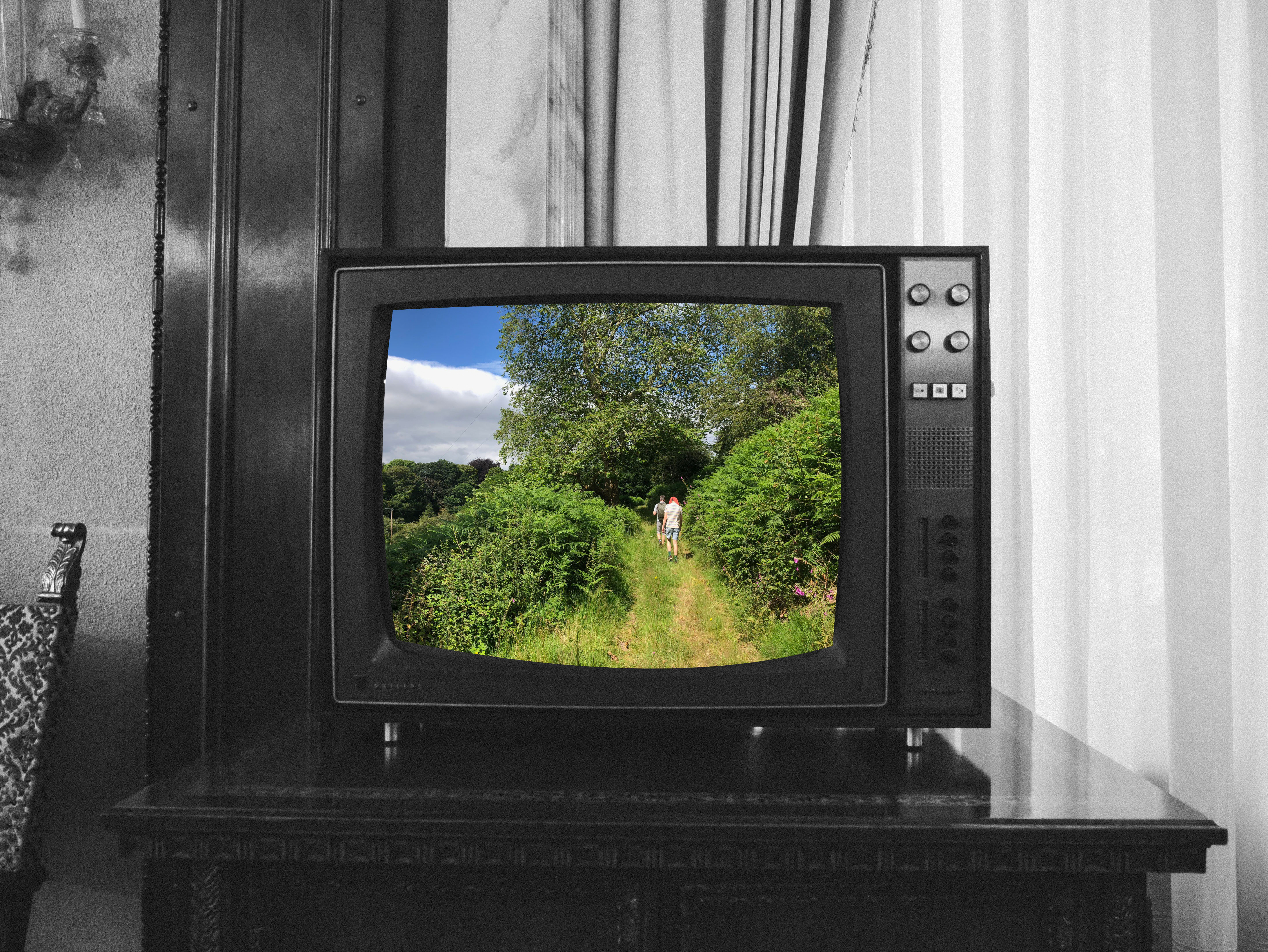 cover picjpg by PJ Gal Szabo and Shea Humphries?width=698&height=466&fit=crop&auto=webp&dpr=4