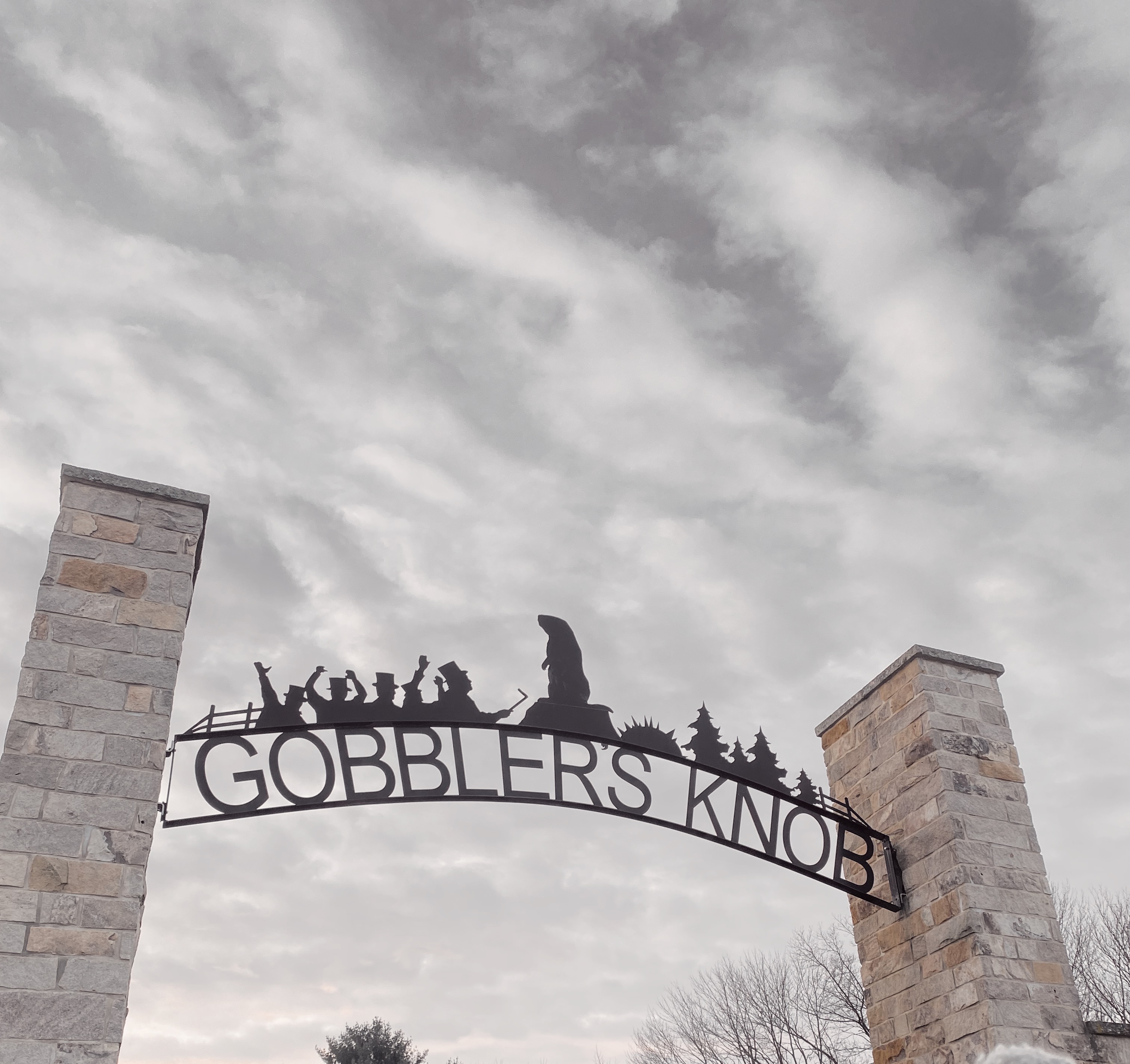 img 2394jpegjpg by Caroline Kannapell?width=698&height=466&fit=crop&auto=webp&dpr=4