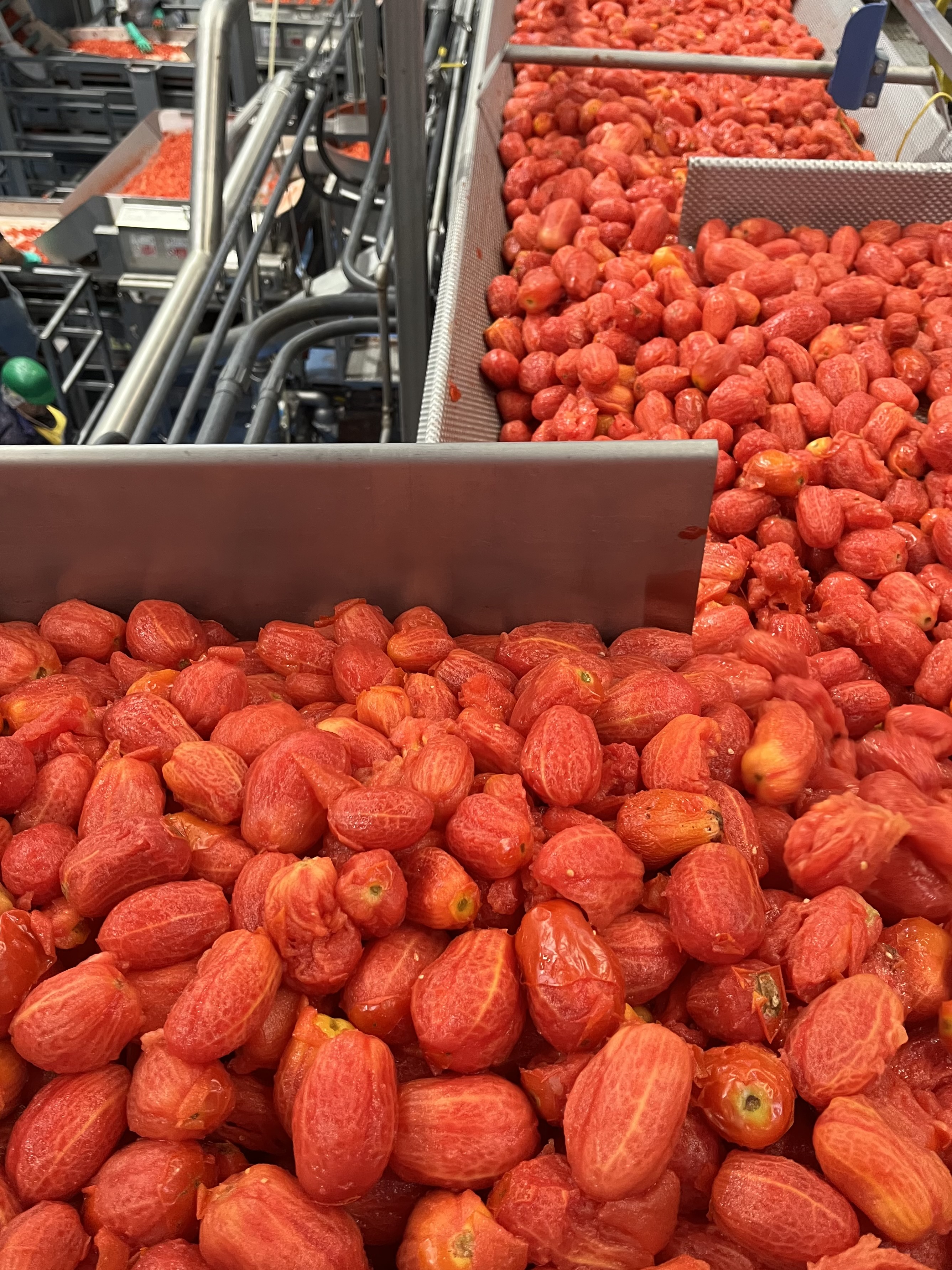 Photo of peeled tomatoes.
