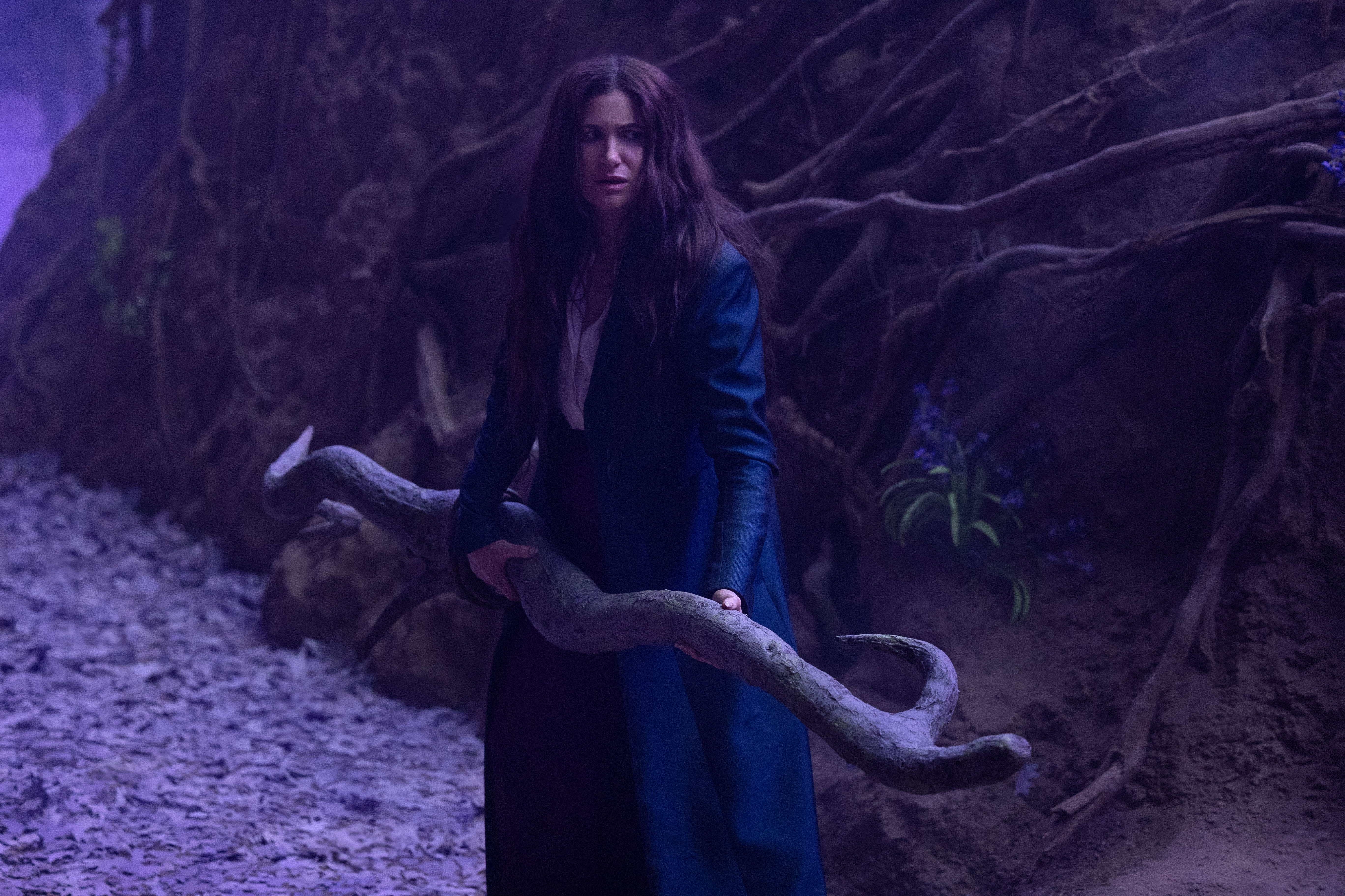 mpy10514202 rjpegjpg by Chuck Zlotnick?width=698&height=466&fit=crop&auto=webp&dpr=4