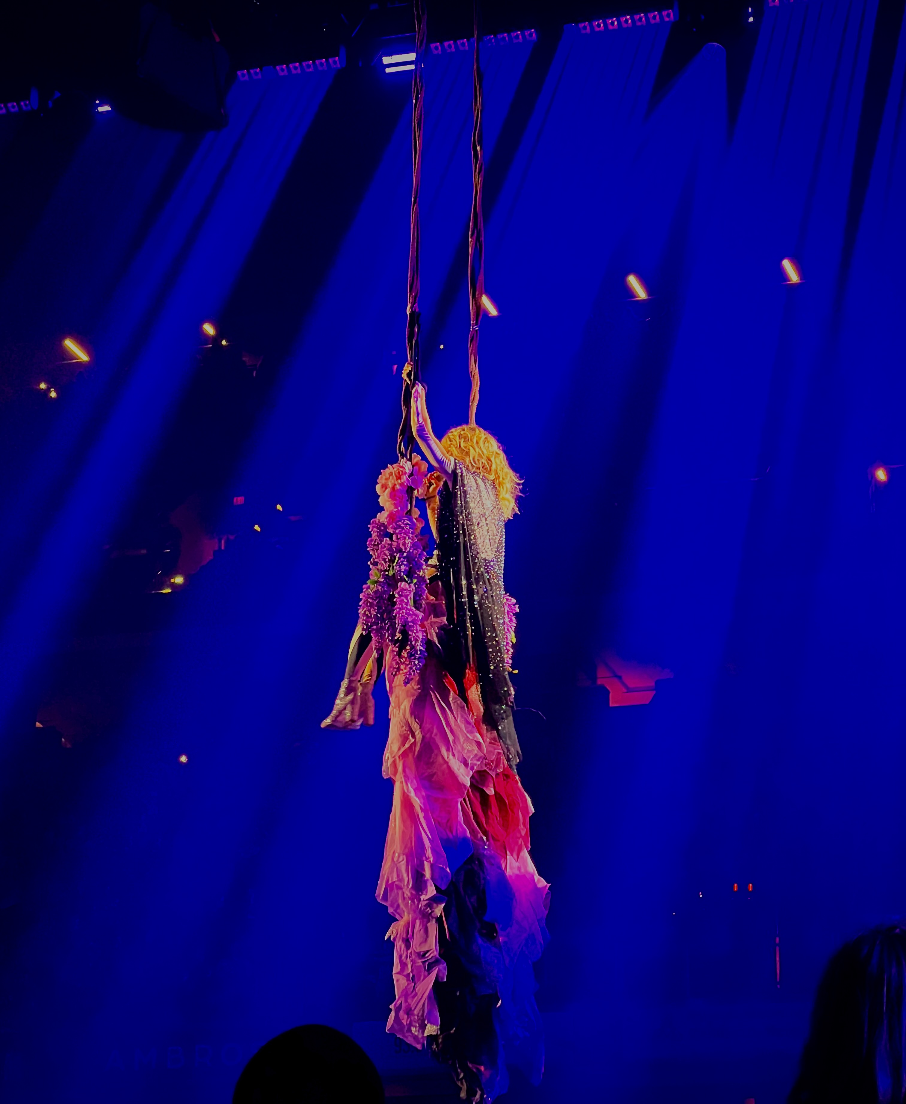 img 0630jpegjpg by Brynn Kelly?width=698&height=466&fit=crop&auto=webp&dpr=4