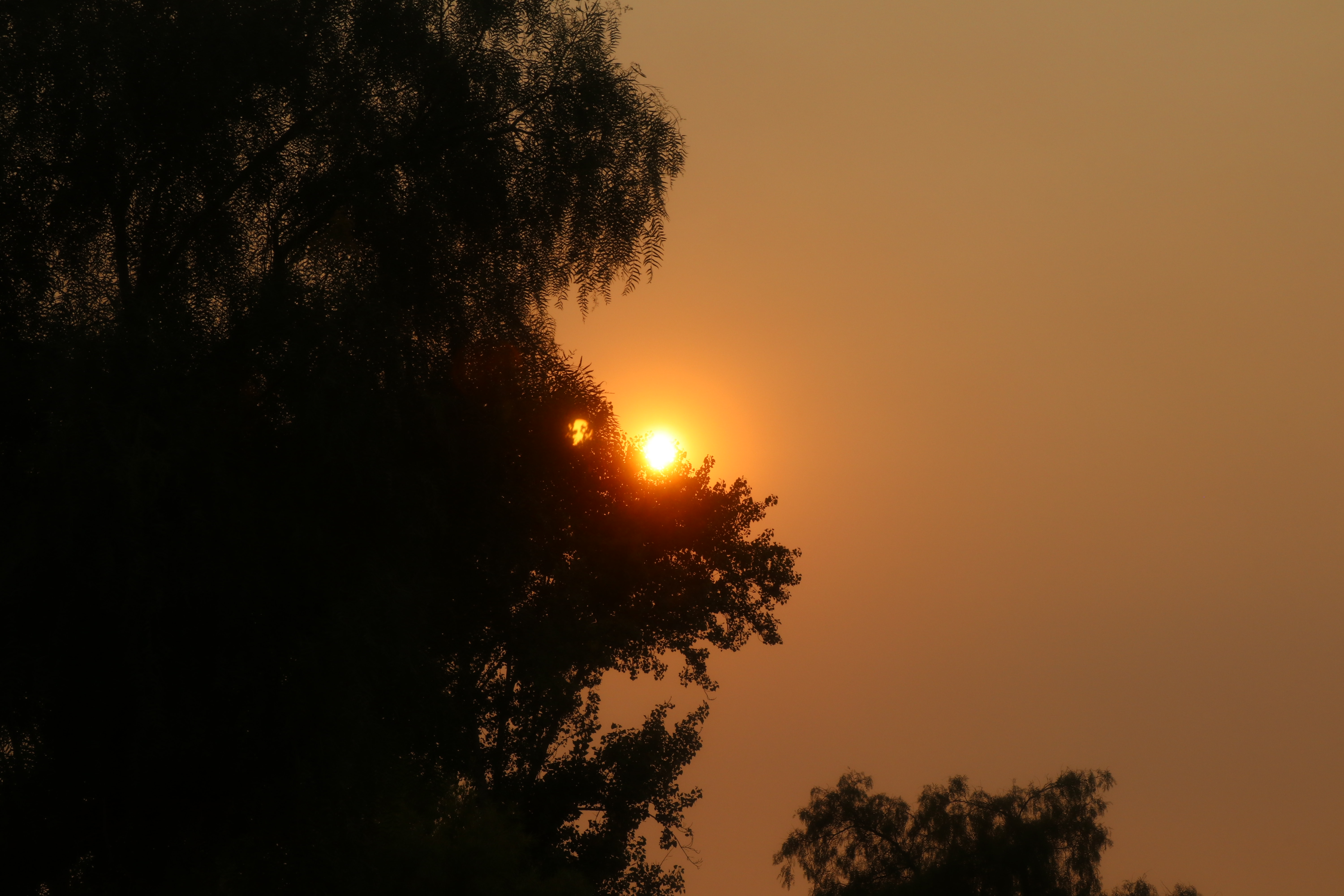 img 9636jpegjpg by Angelyn Felices